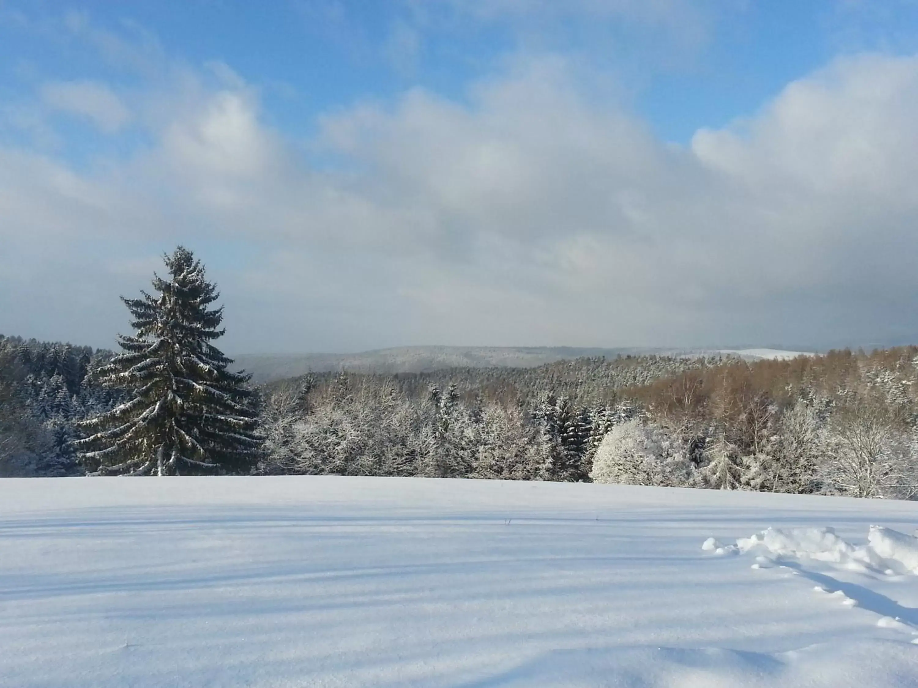 Natural landscape, Winter in Akzent Aktiv & Vital Hotel Thüringen