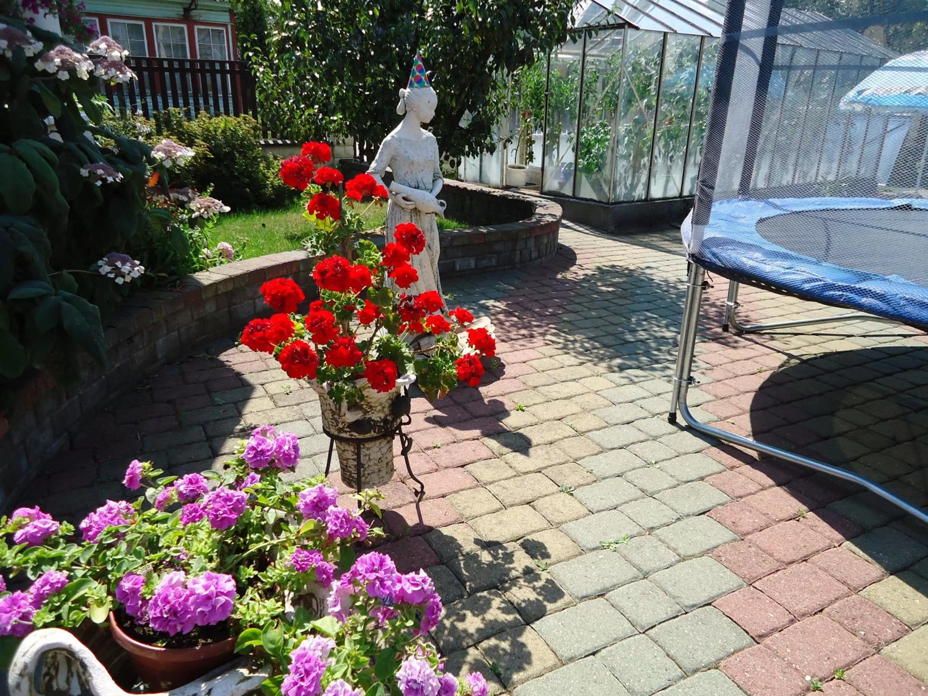 Property building in Guest House Linas