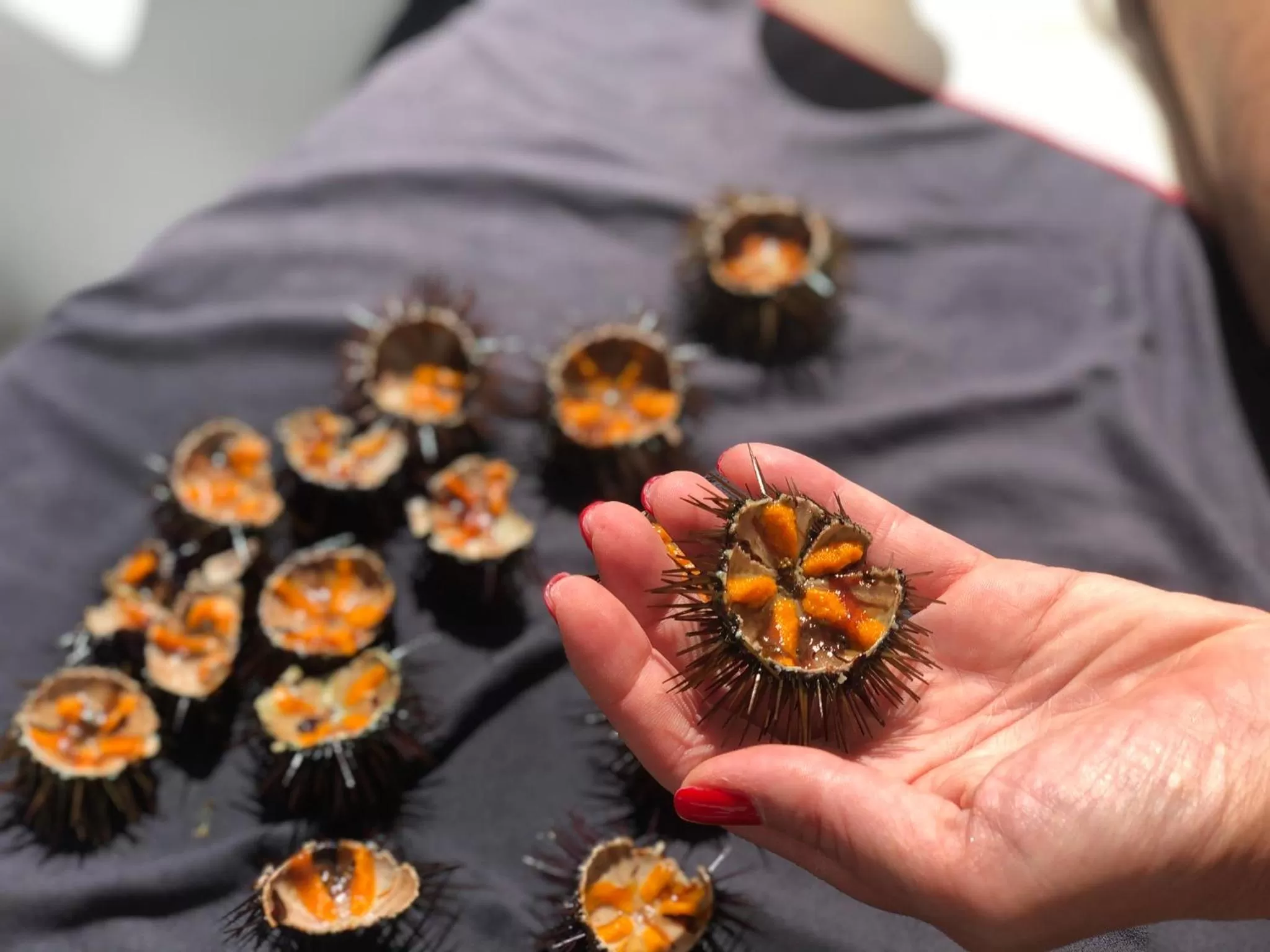 Food in Amantea Monument