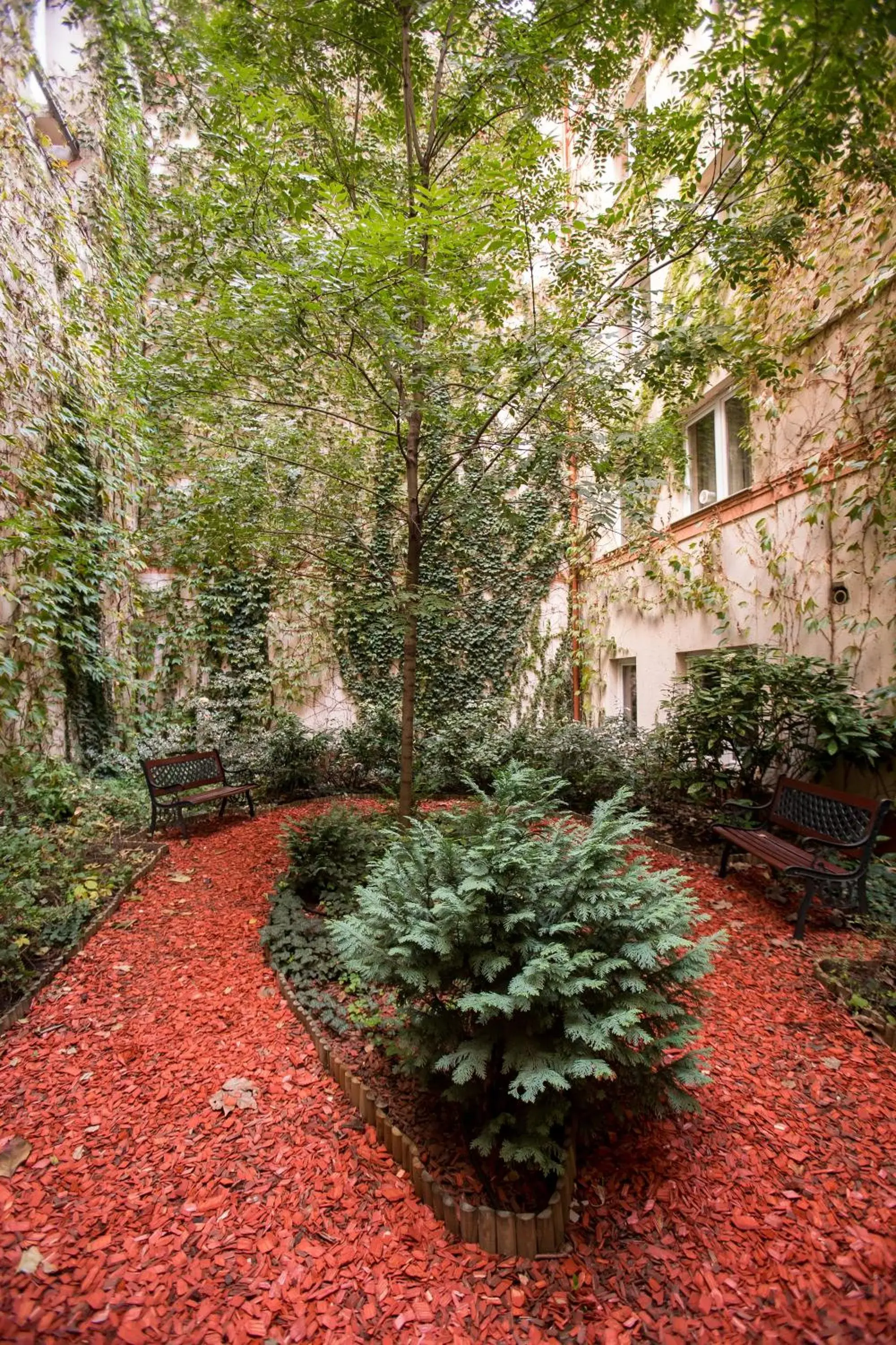 Garden in City Home Budapest