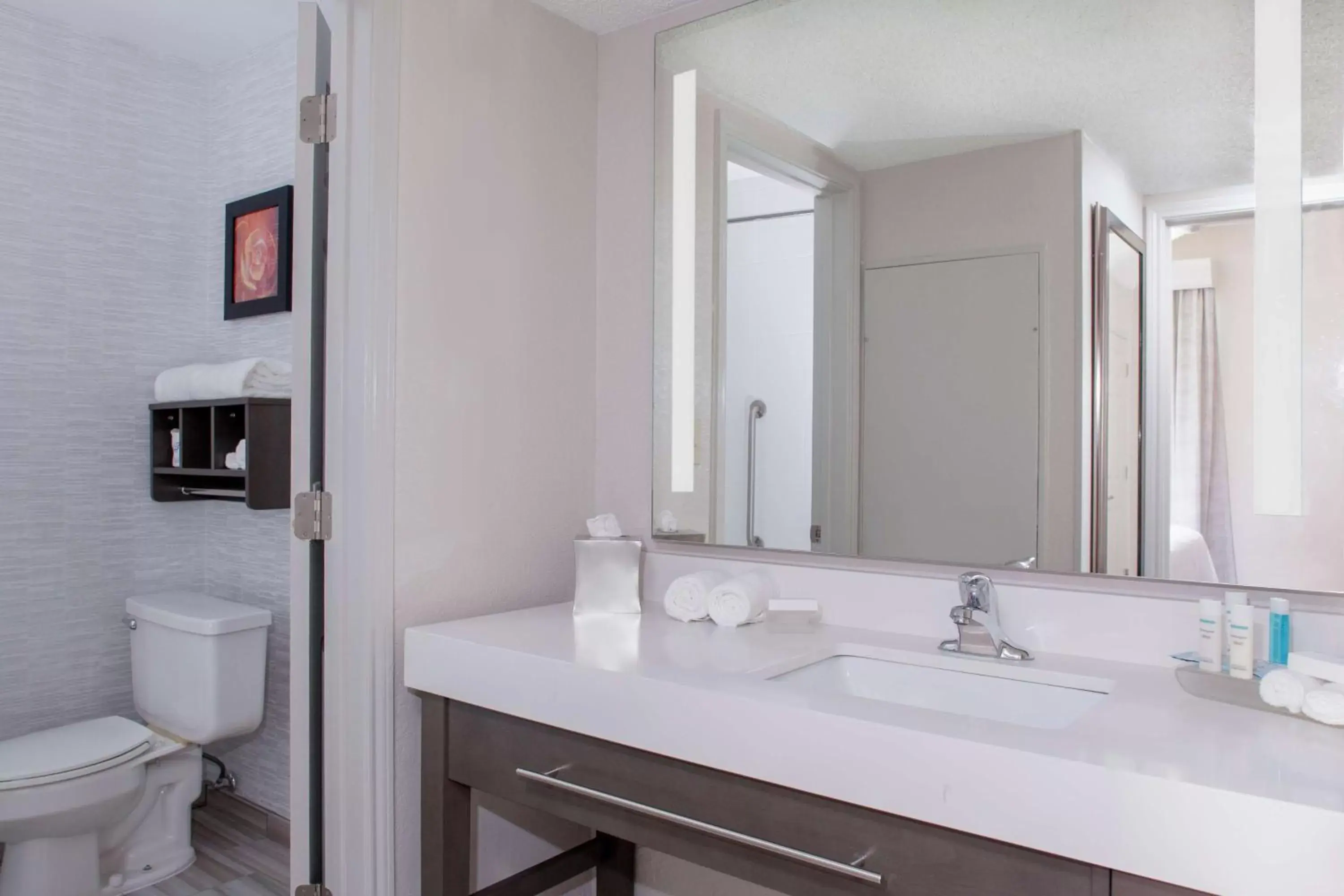 Bathroom in Homewood Suites by Hilton Dallas-Irving-Las Colinas