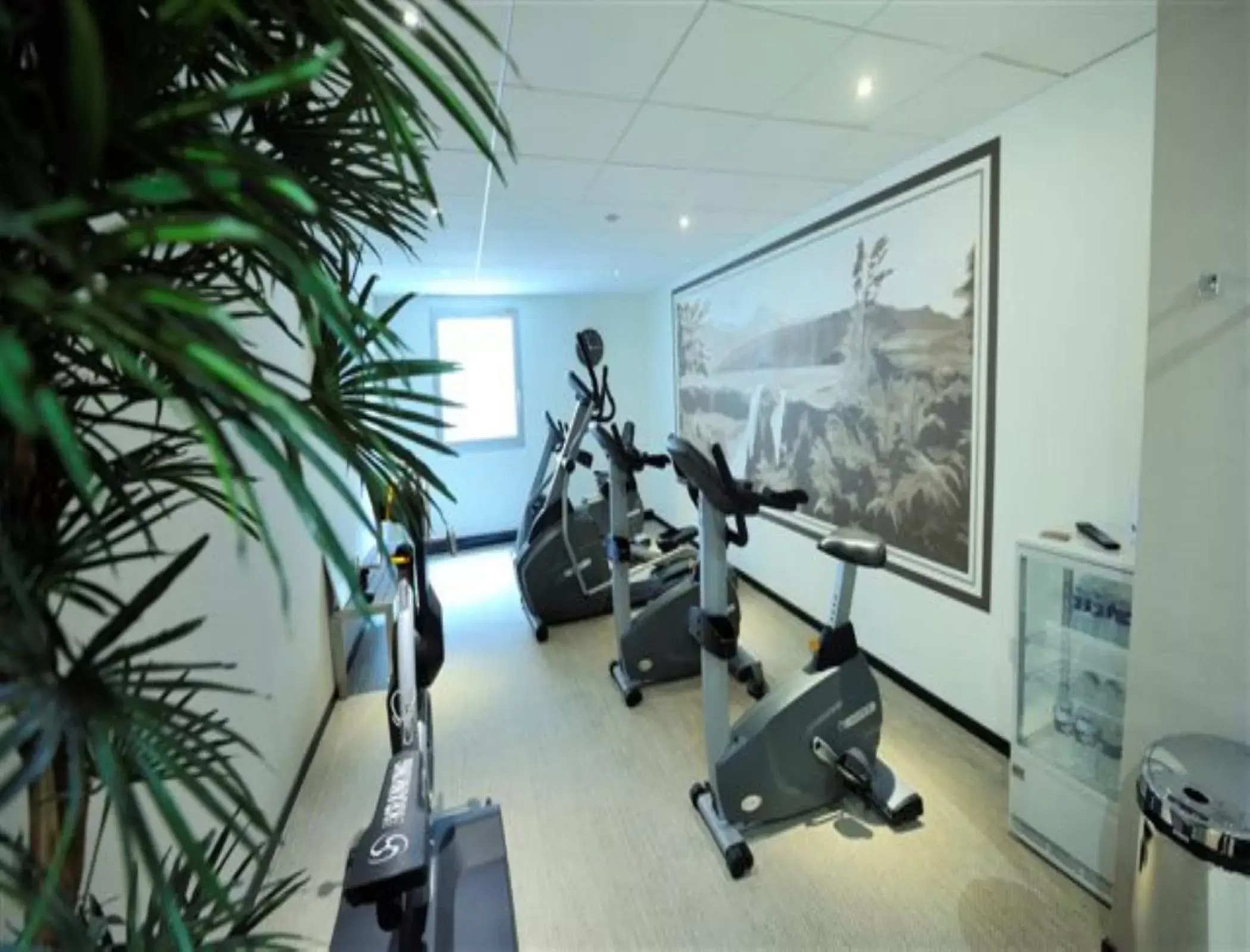 Fitness centre/facilities, Fitness Center/Facilities in Mercure Rouen Centre Champ de Mars