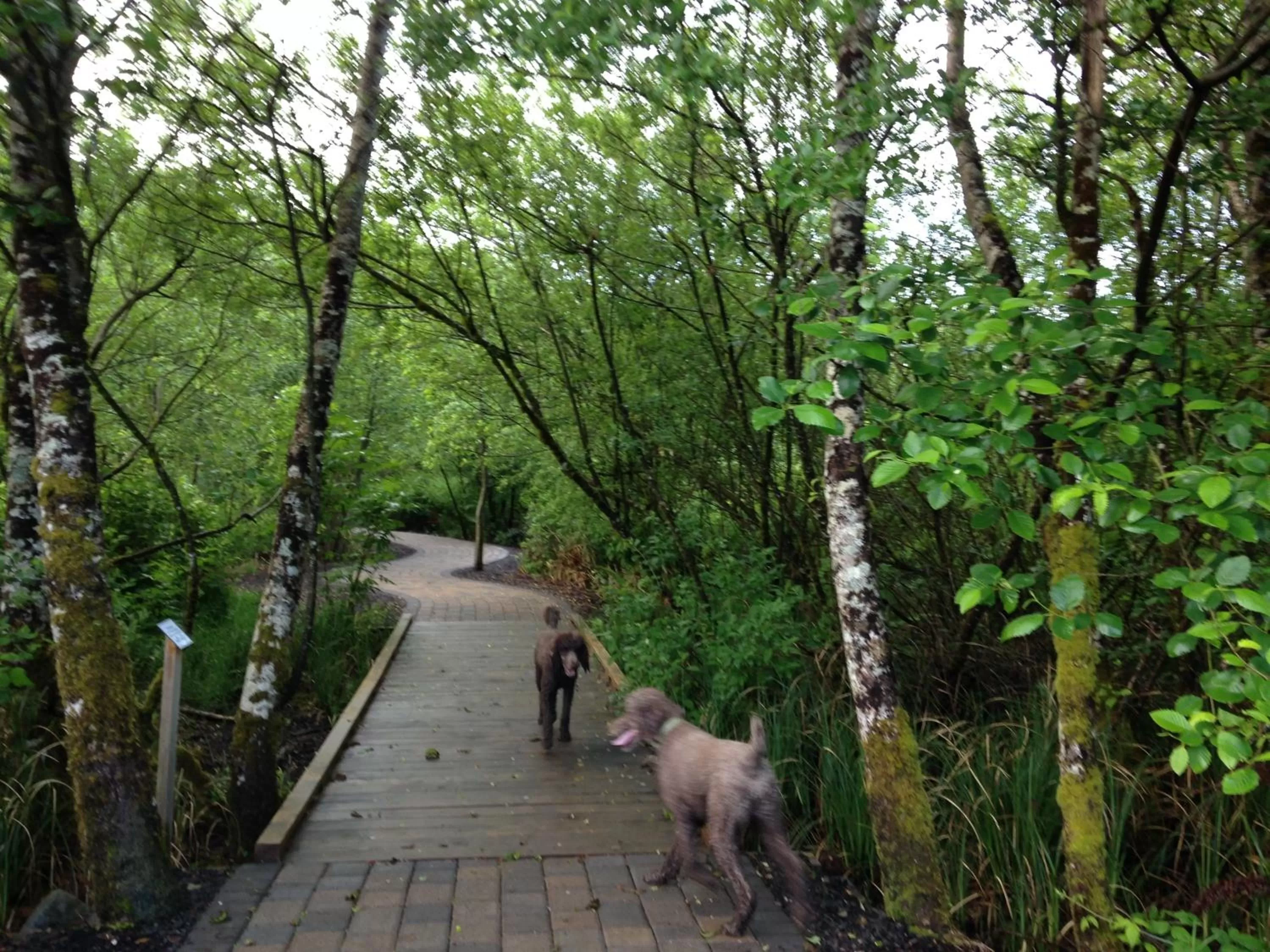 Hiking, Pets in Sheltered Nook On Tillamook Bay