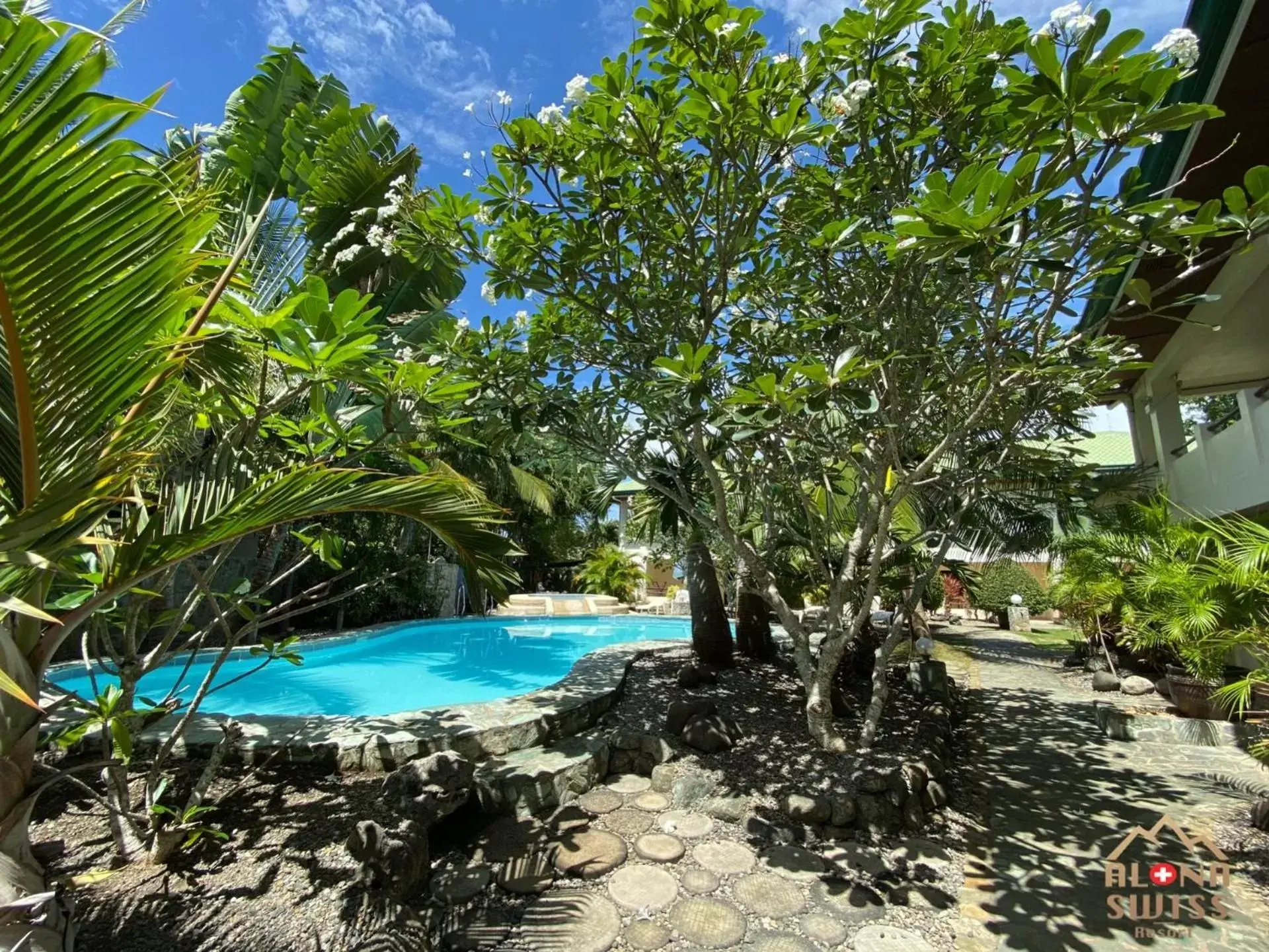 Swimming Pool in Alona Swiss Resort