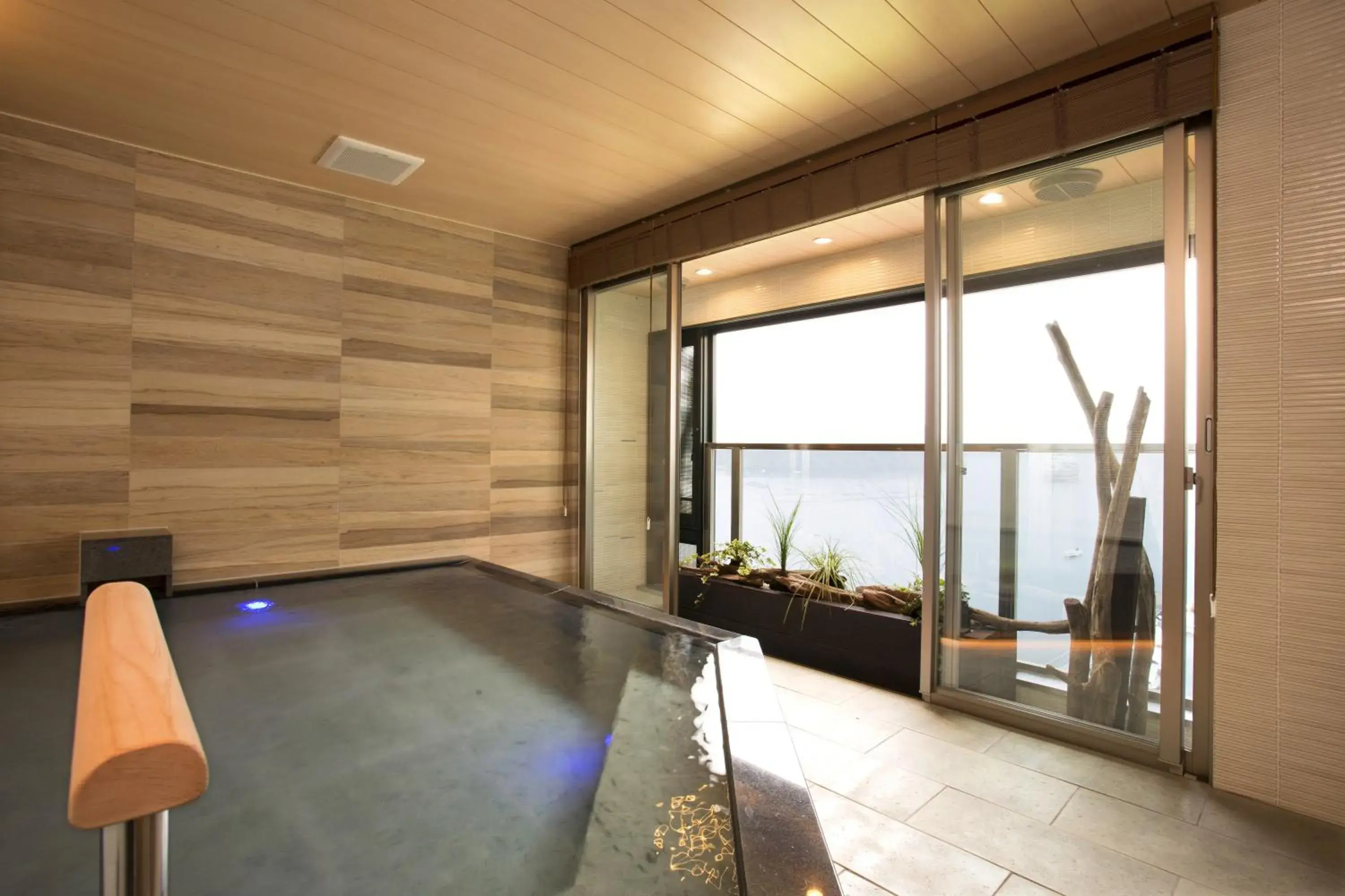 Hot Spring Bath in Hakone Hotel