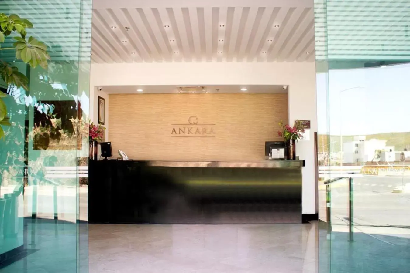 Lobby or reception, Lobby/Reception in Hotel Ankara "Las Lomas"