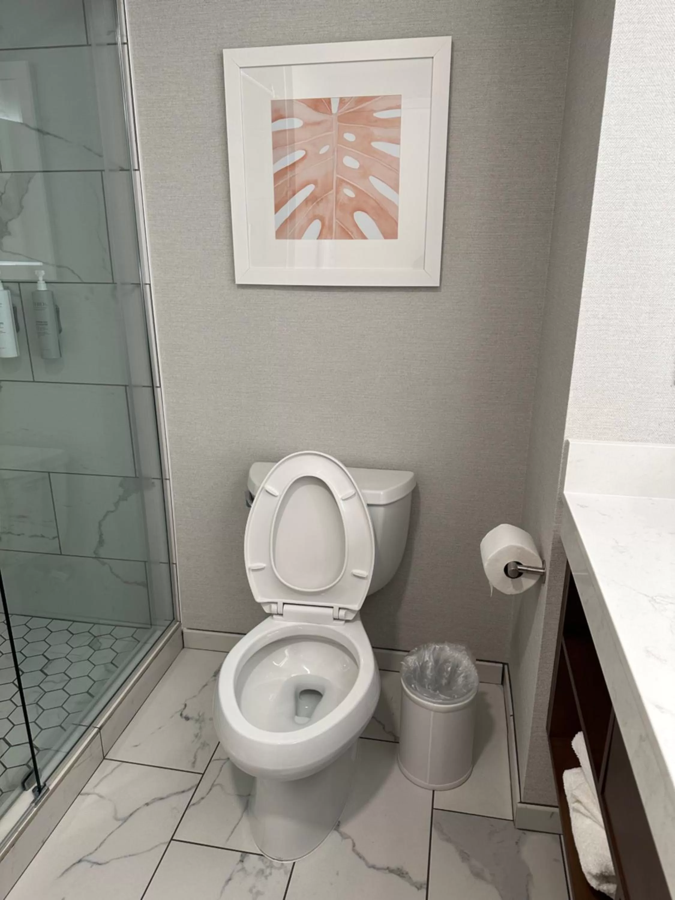 Shower in Hampton Inn Virginia Beach-Oceanfront South