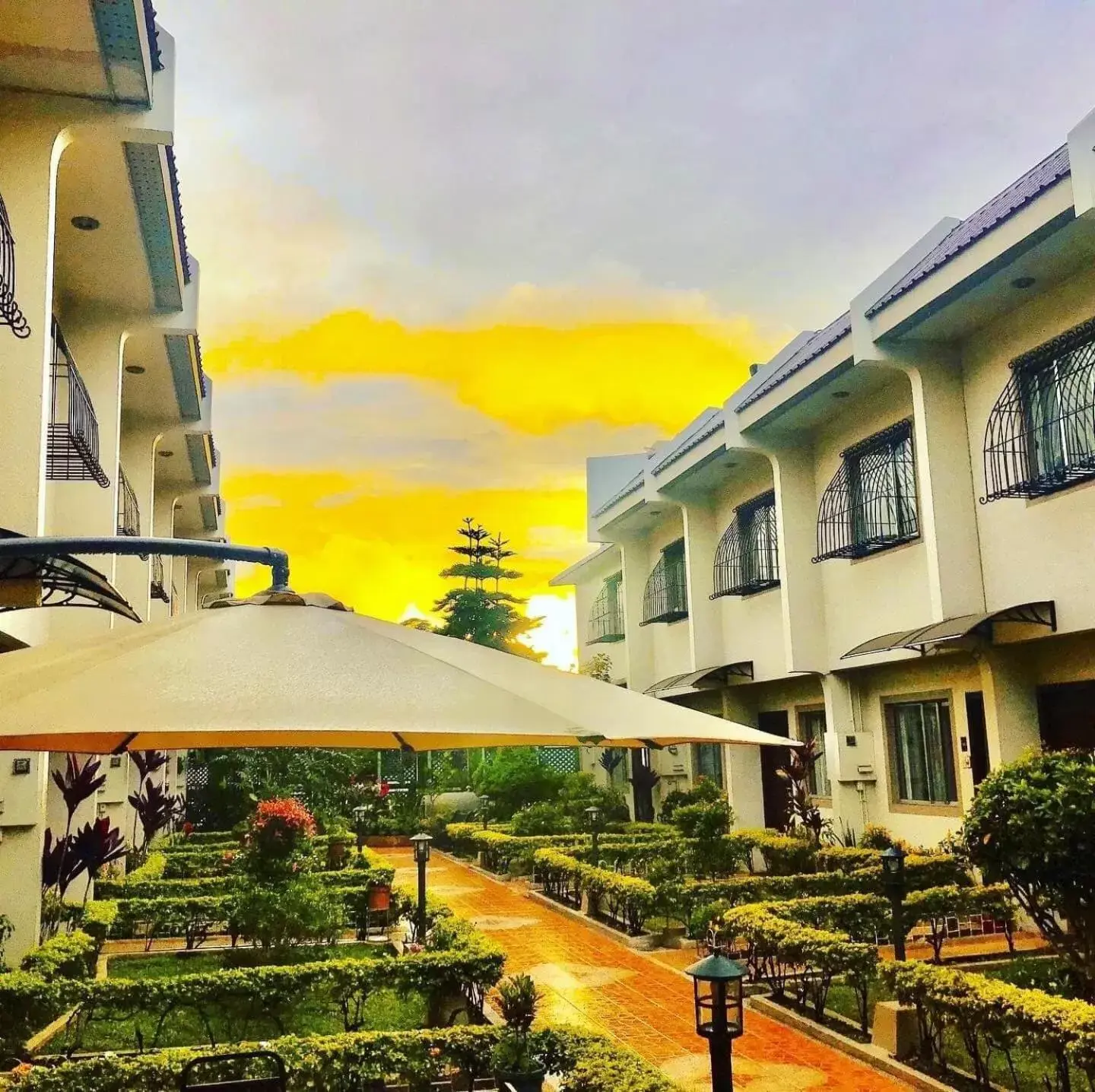 Garden, Property Building in Baguio Holiday Villas