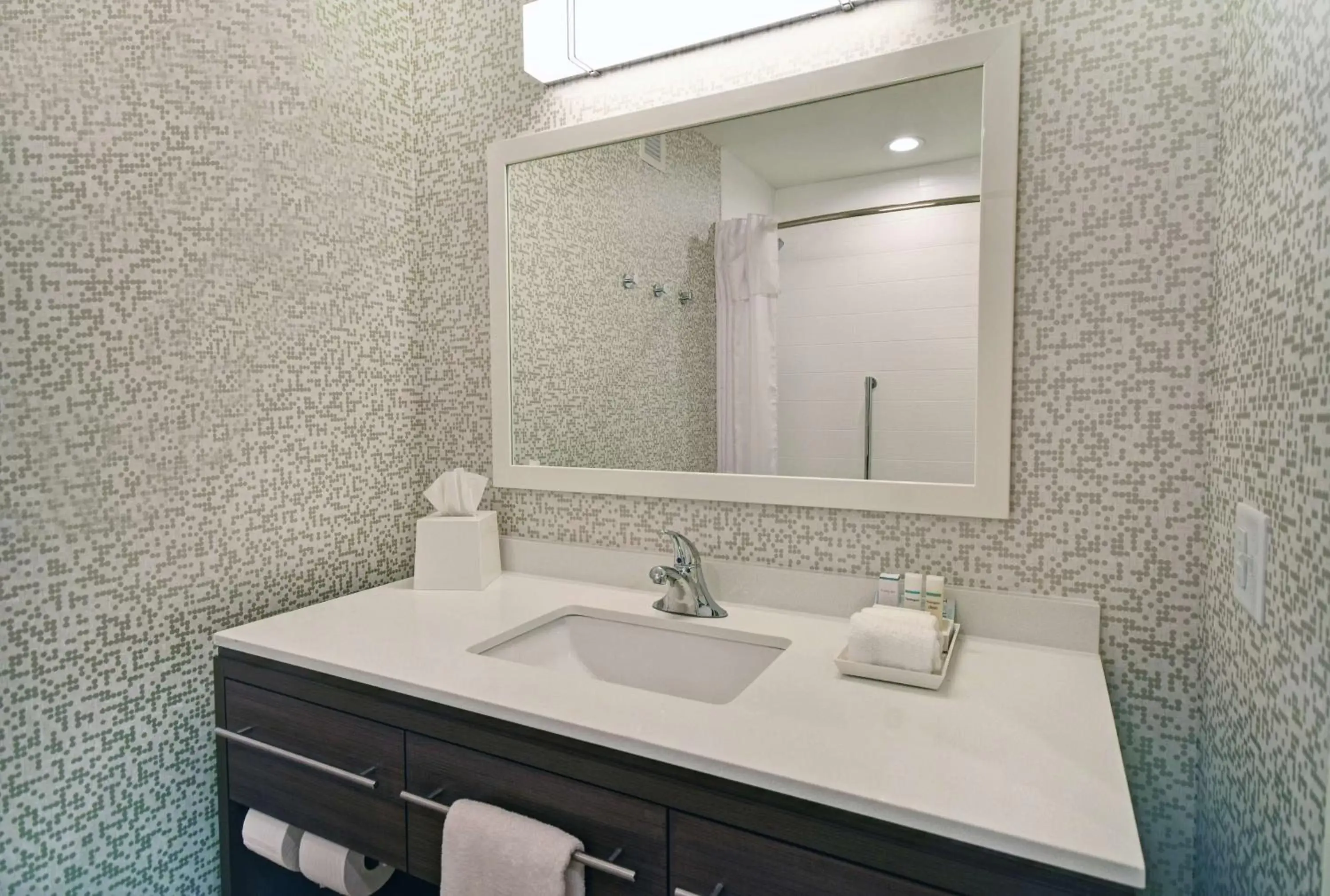 Bathroom in Home2 Suites By Hilton Beloit