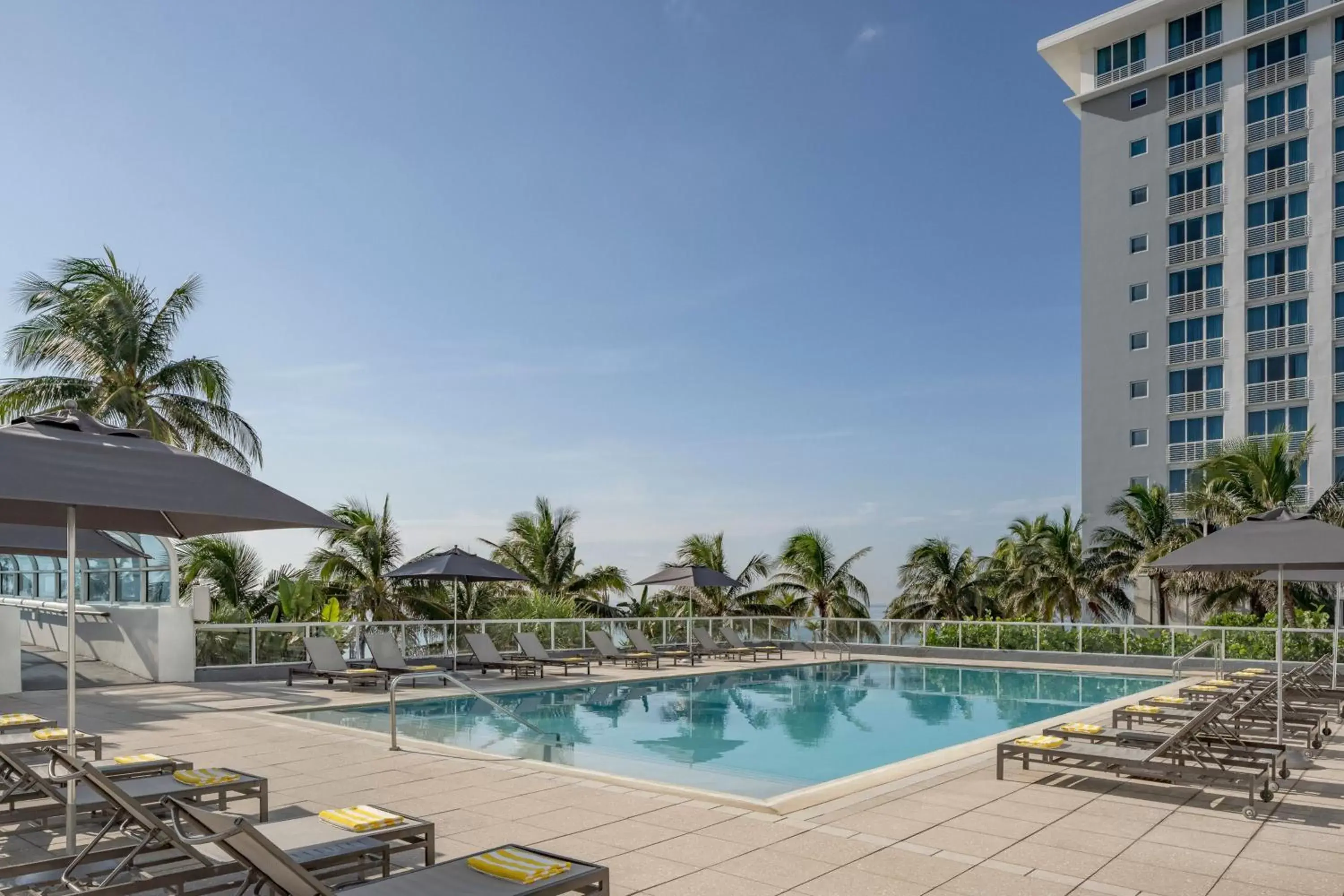 Swimming Pool in The Westin Fort Lauderdale Beach Resort