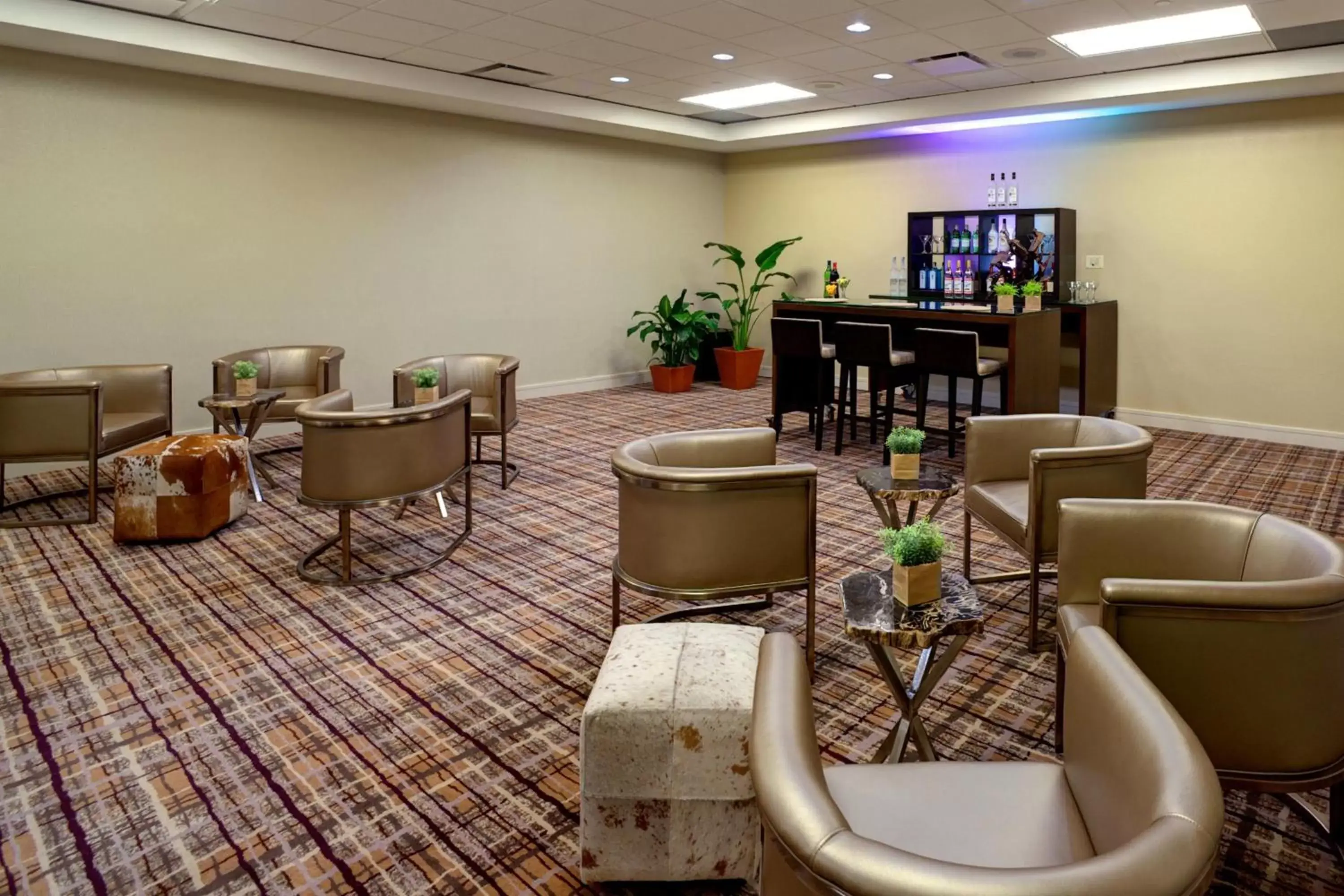 Meeting/conference room, Lounge/Bar in Houston Marriott North