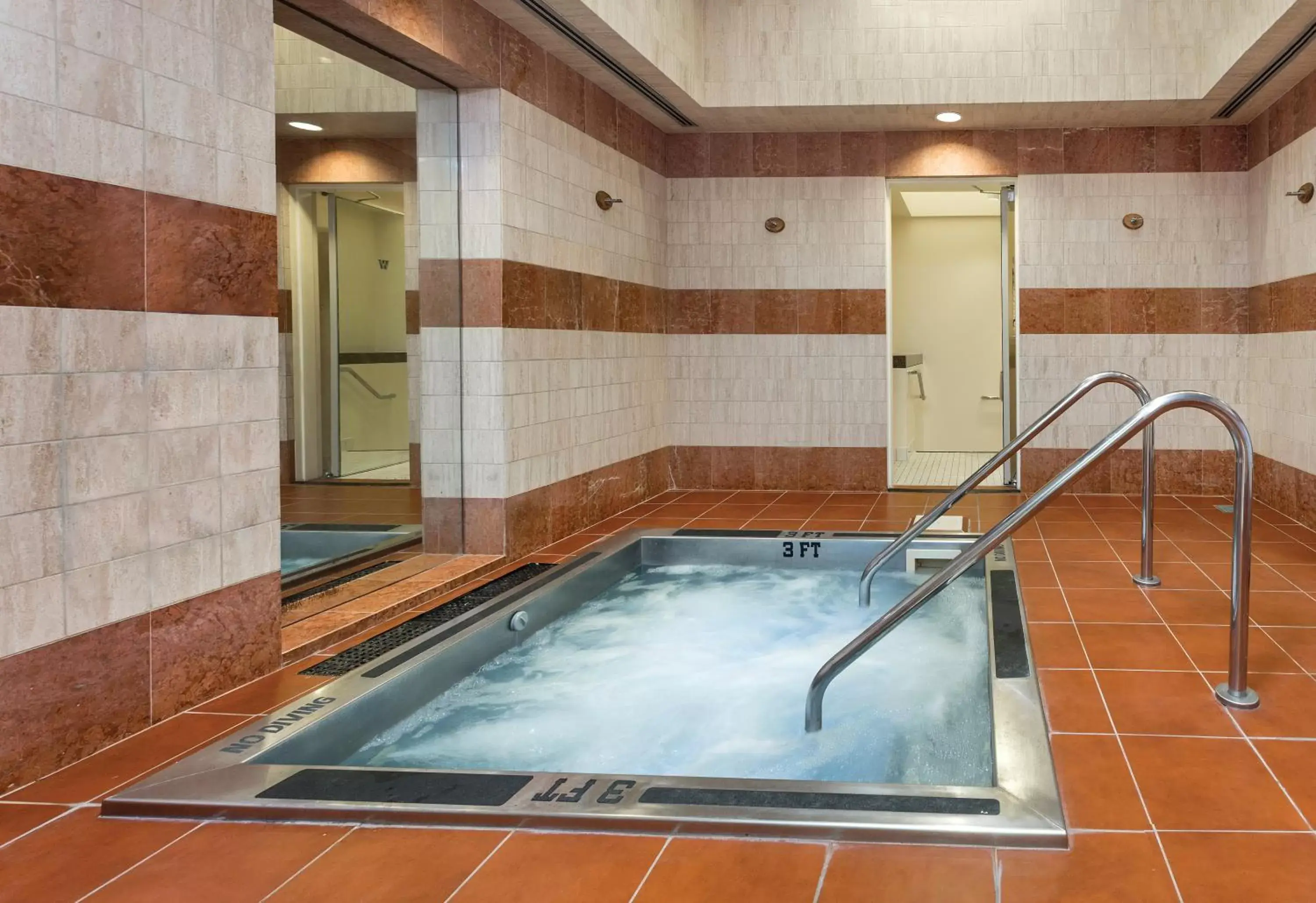 Spa and wellness centre/facilities, Swimming Pool in The Donatello Hotel