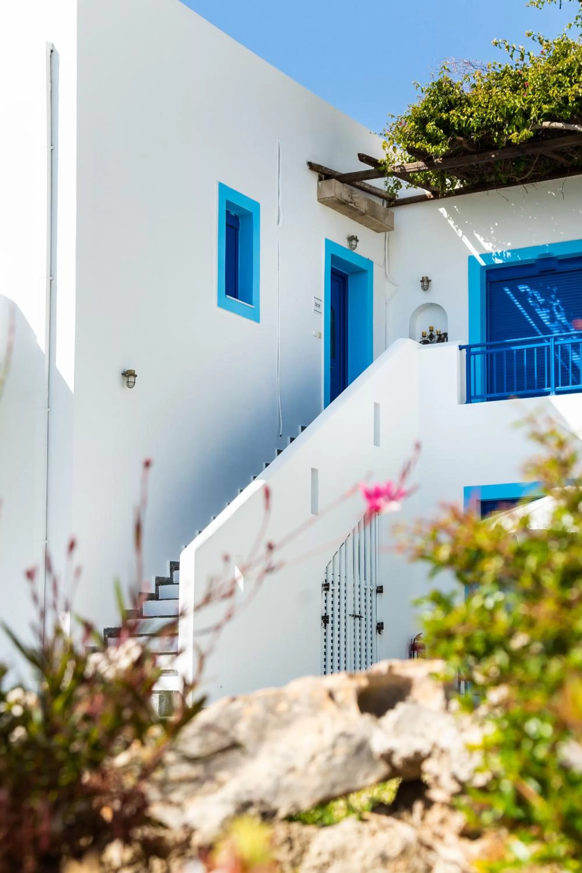 Property building in Bella Vista Stegna