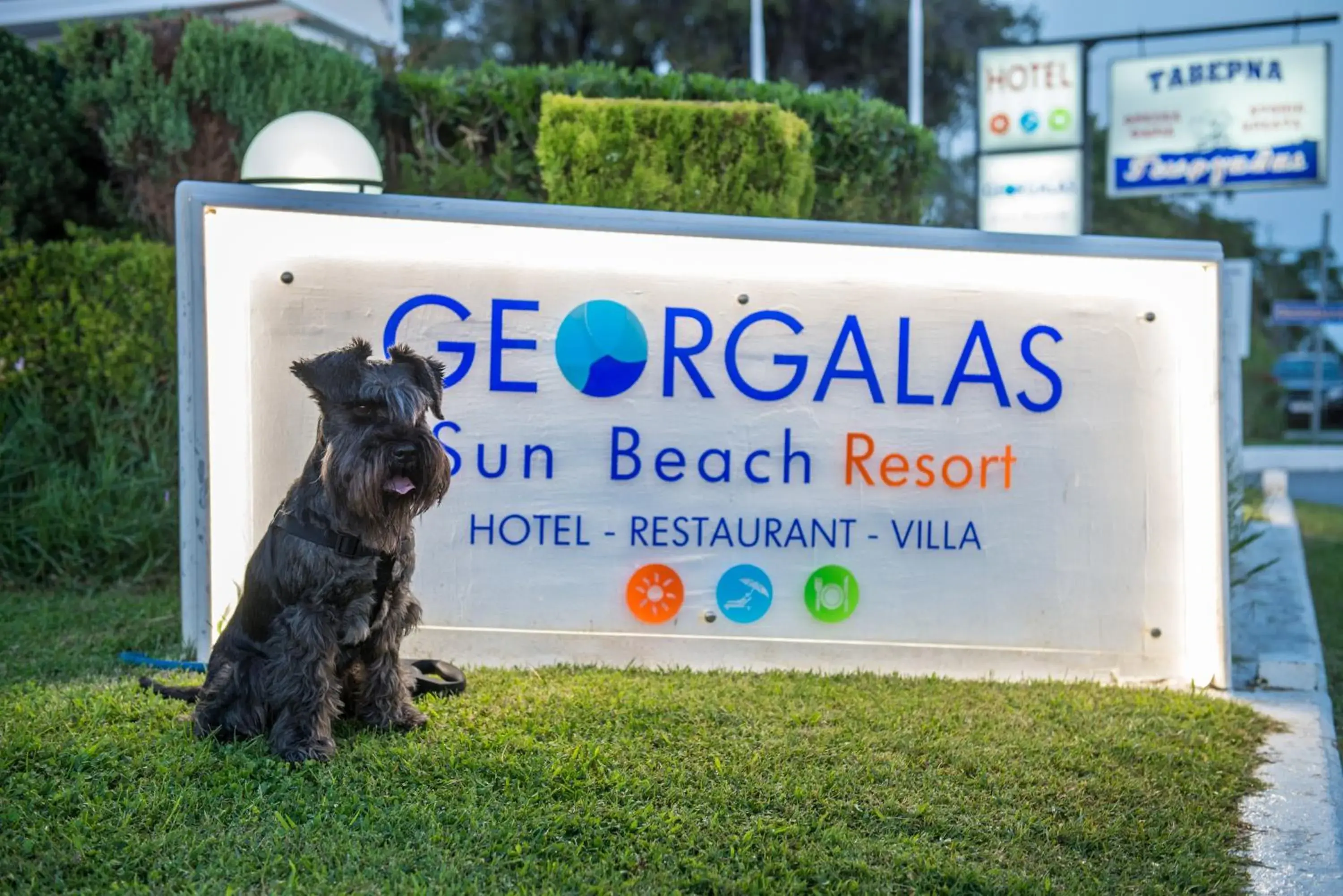 Property logo or sign in Georgalas Sun Beach Resort