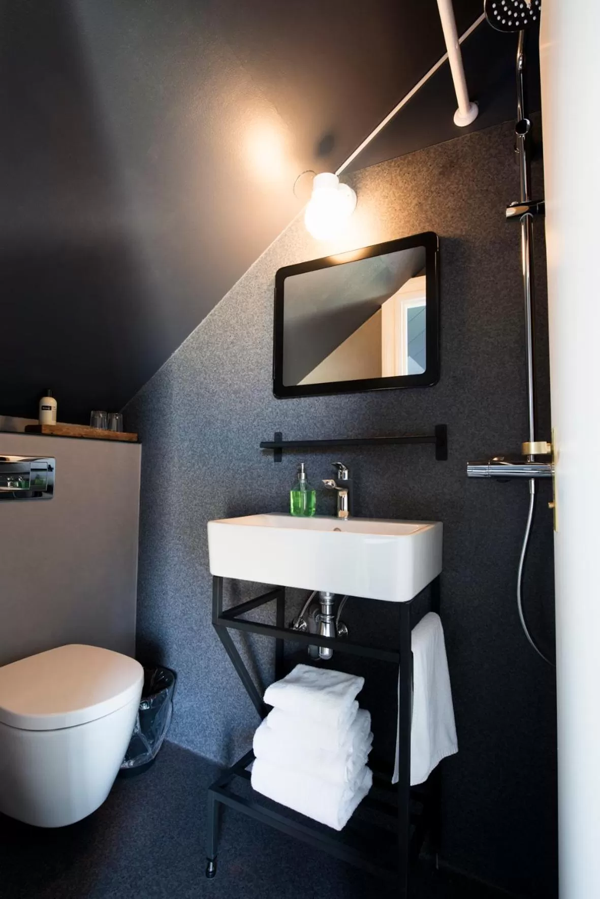 Shower in Hotel Leifur Eiriksson