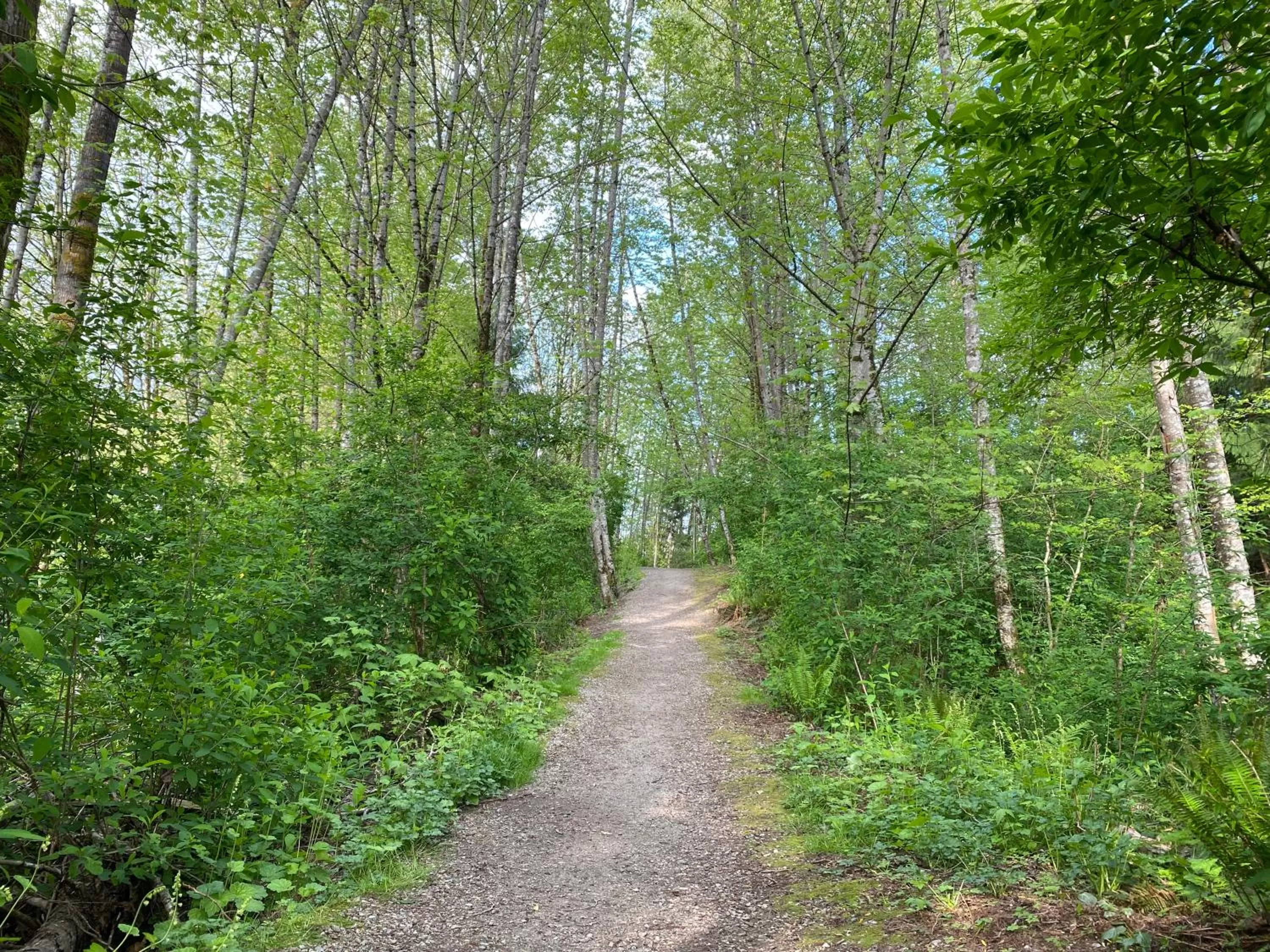 Natural landscape in Jane's private rooms with shared washroom