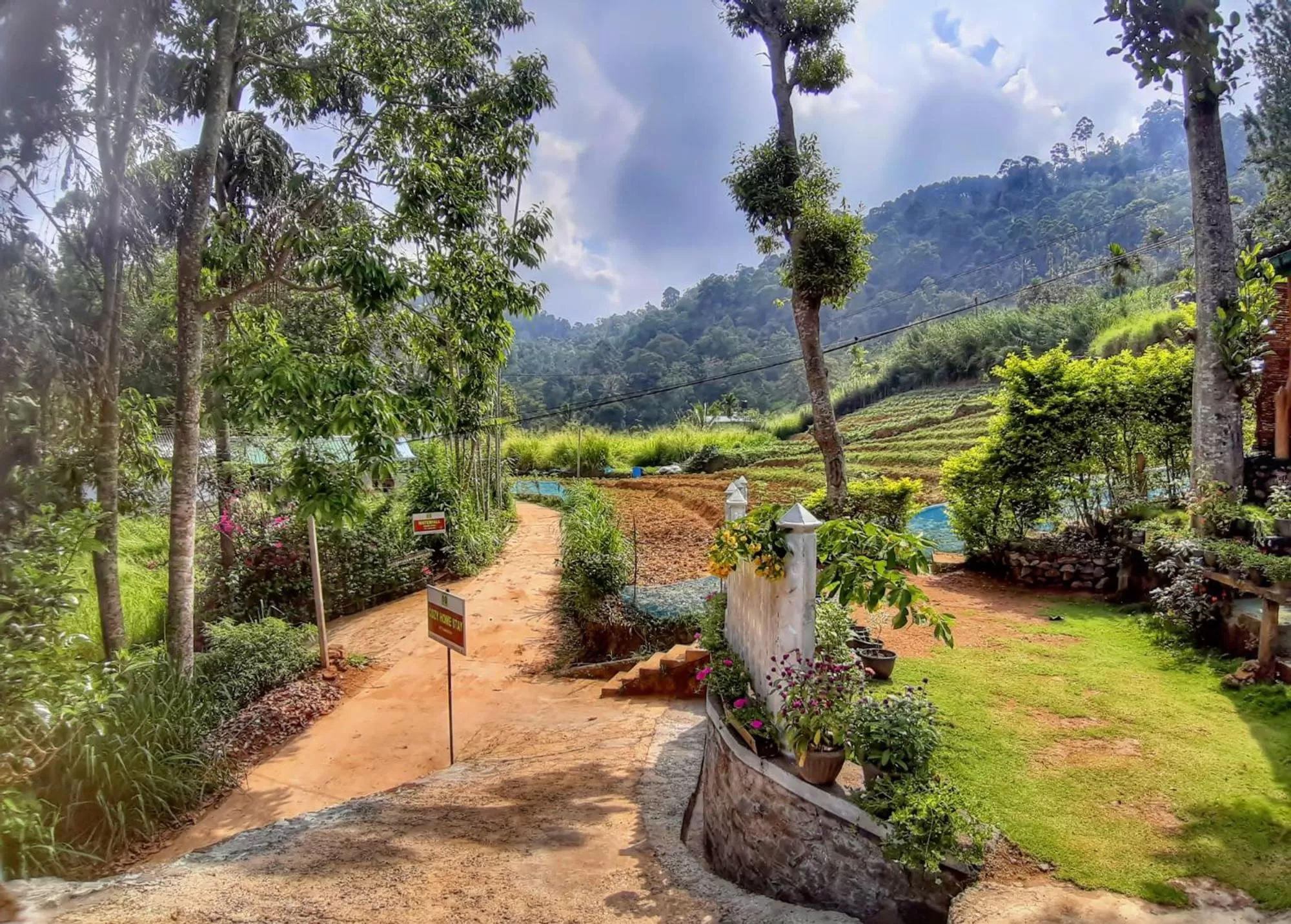 Garden in Cozy Home Stay