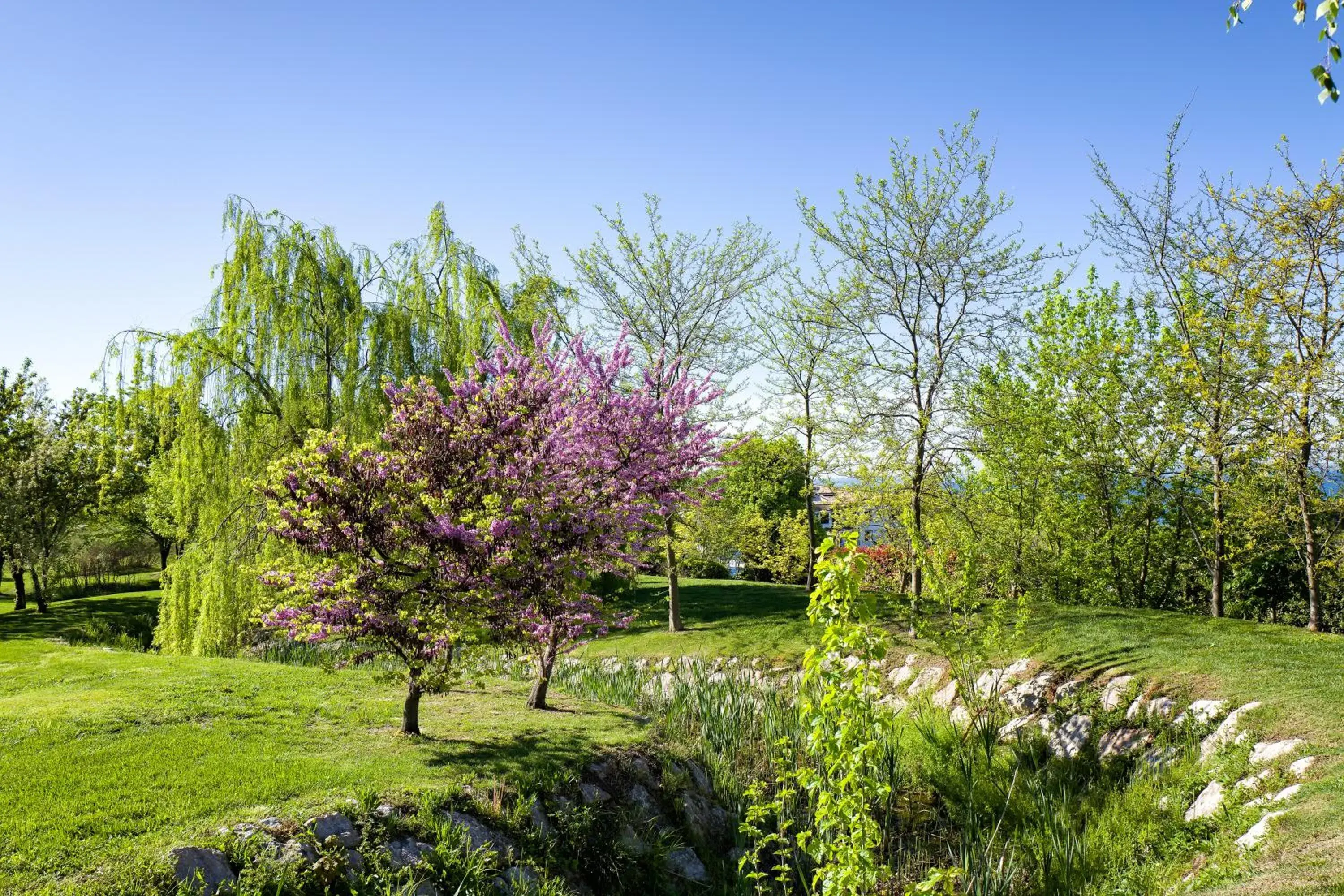 Garden in Parc Hotel Germano Suites & Apartments