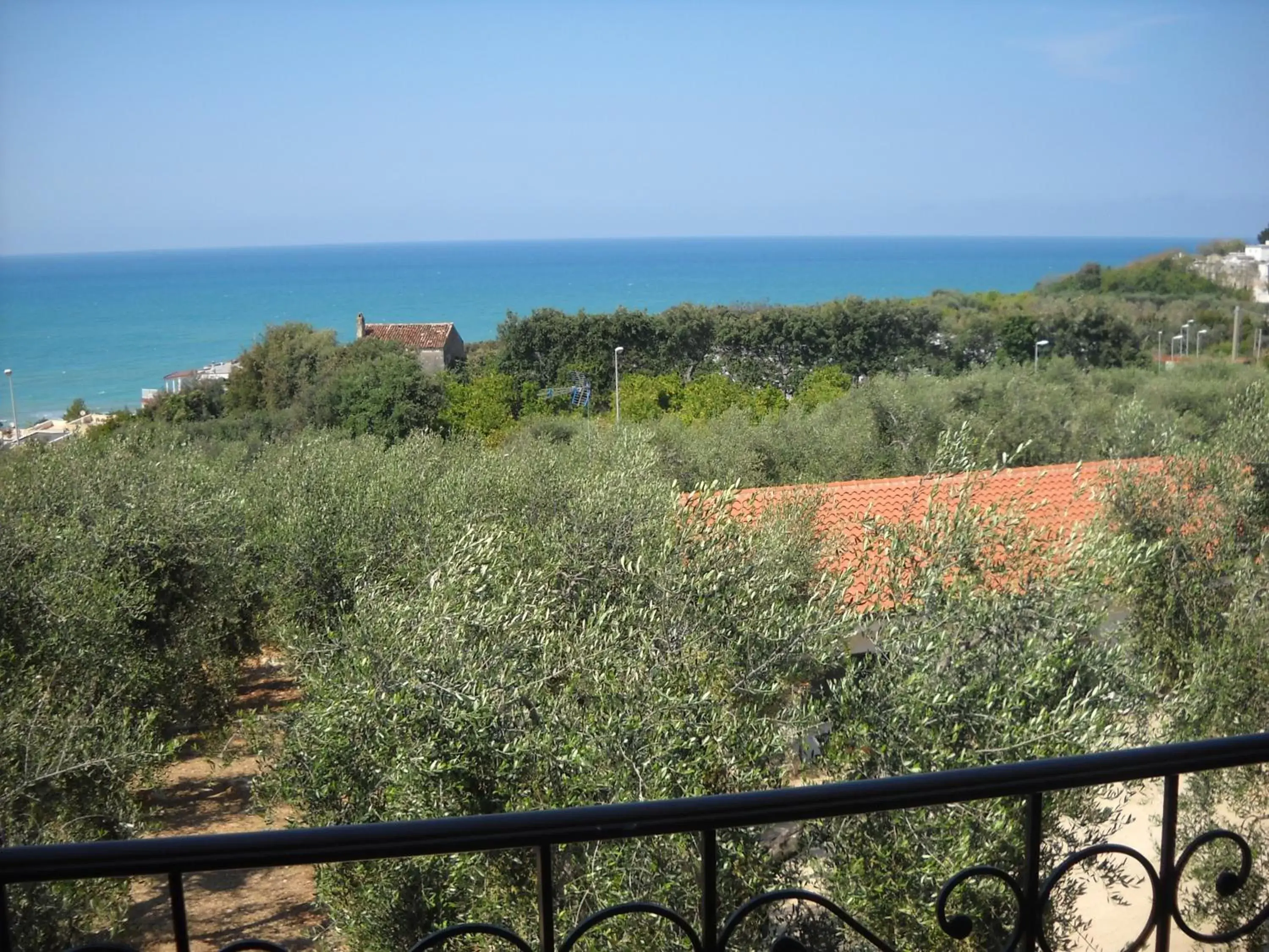 Garden view, Balcony/Terrace in Zagare Residence