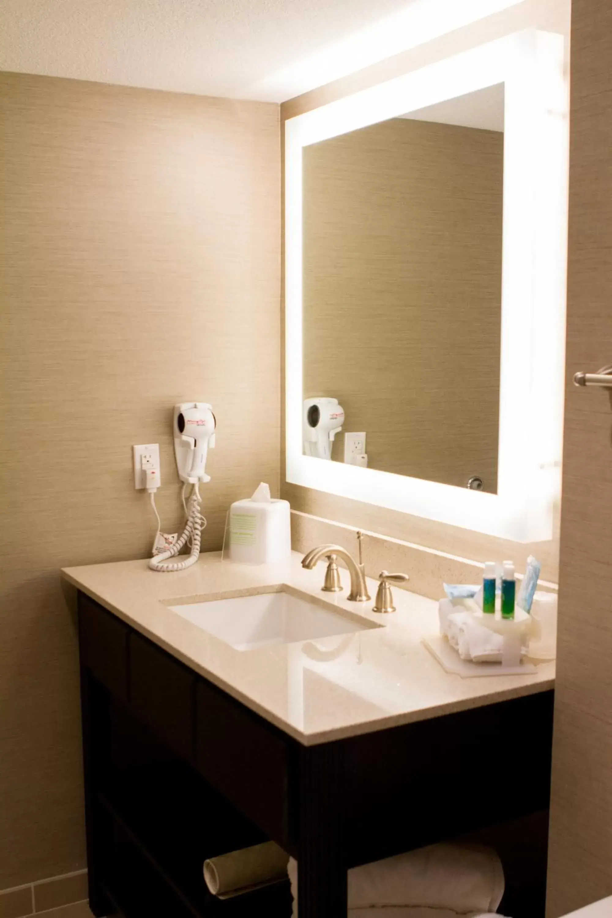 Bathroom in Holiday Inn Express & Suites San Antonio Medical Center North, an IHG Hotel