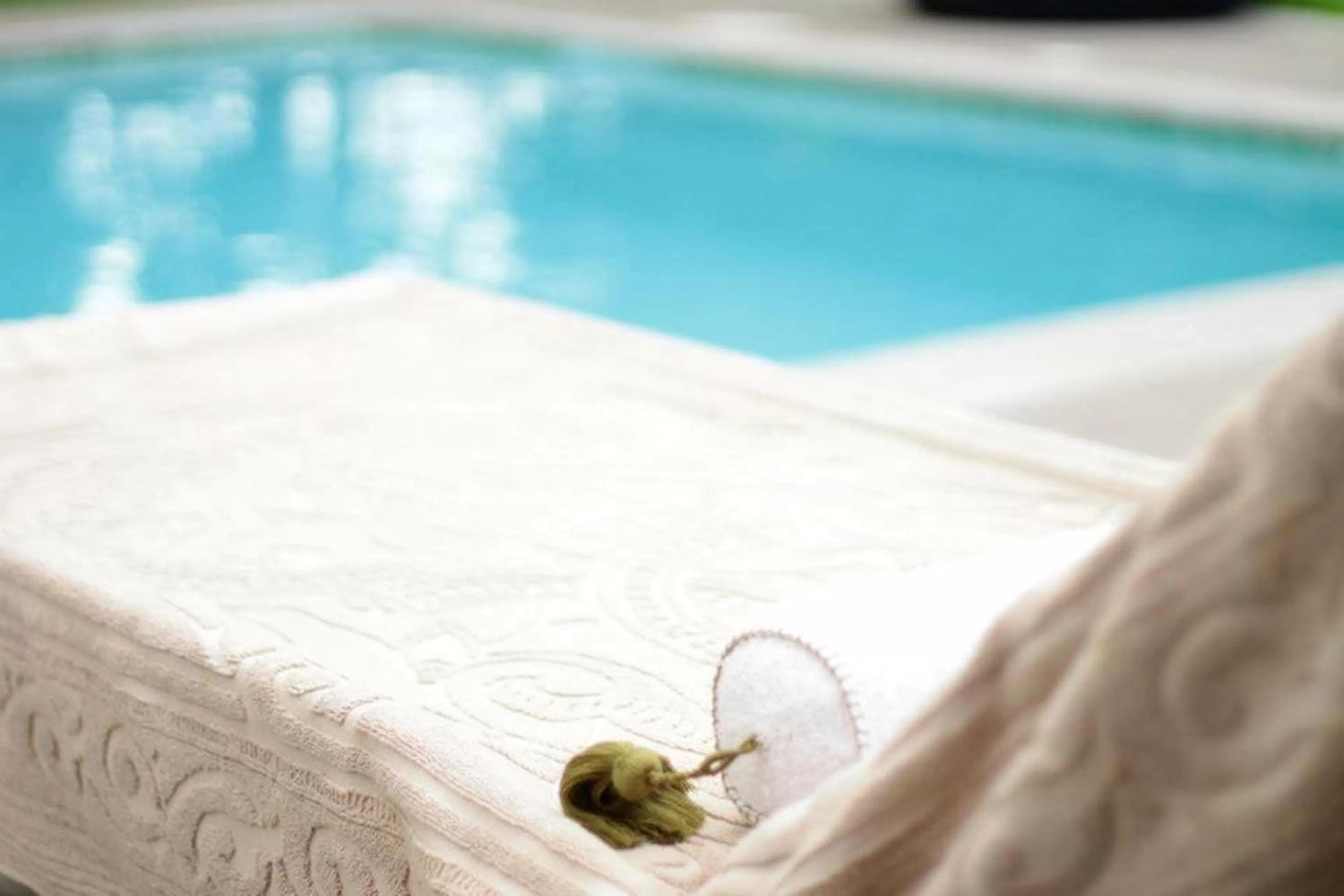 Swimming pool in Boutique Hotel Particulier