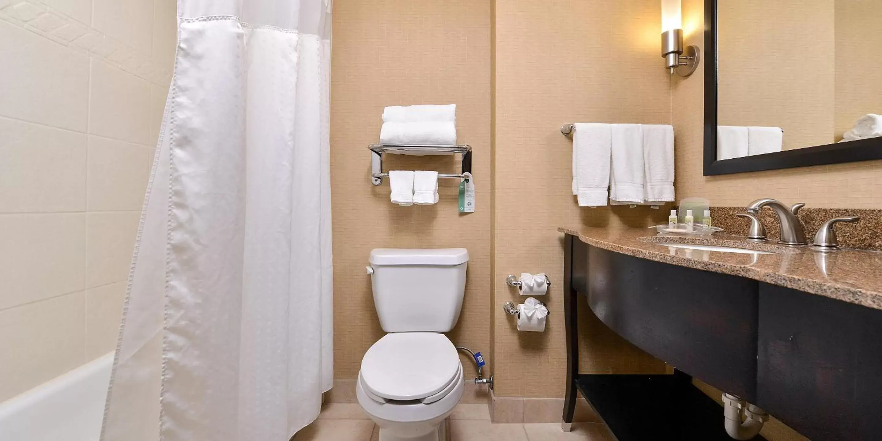 Bathroom in Holiday Inn Fort Worth North- Fossil Creek, an IHG Hotel