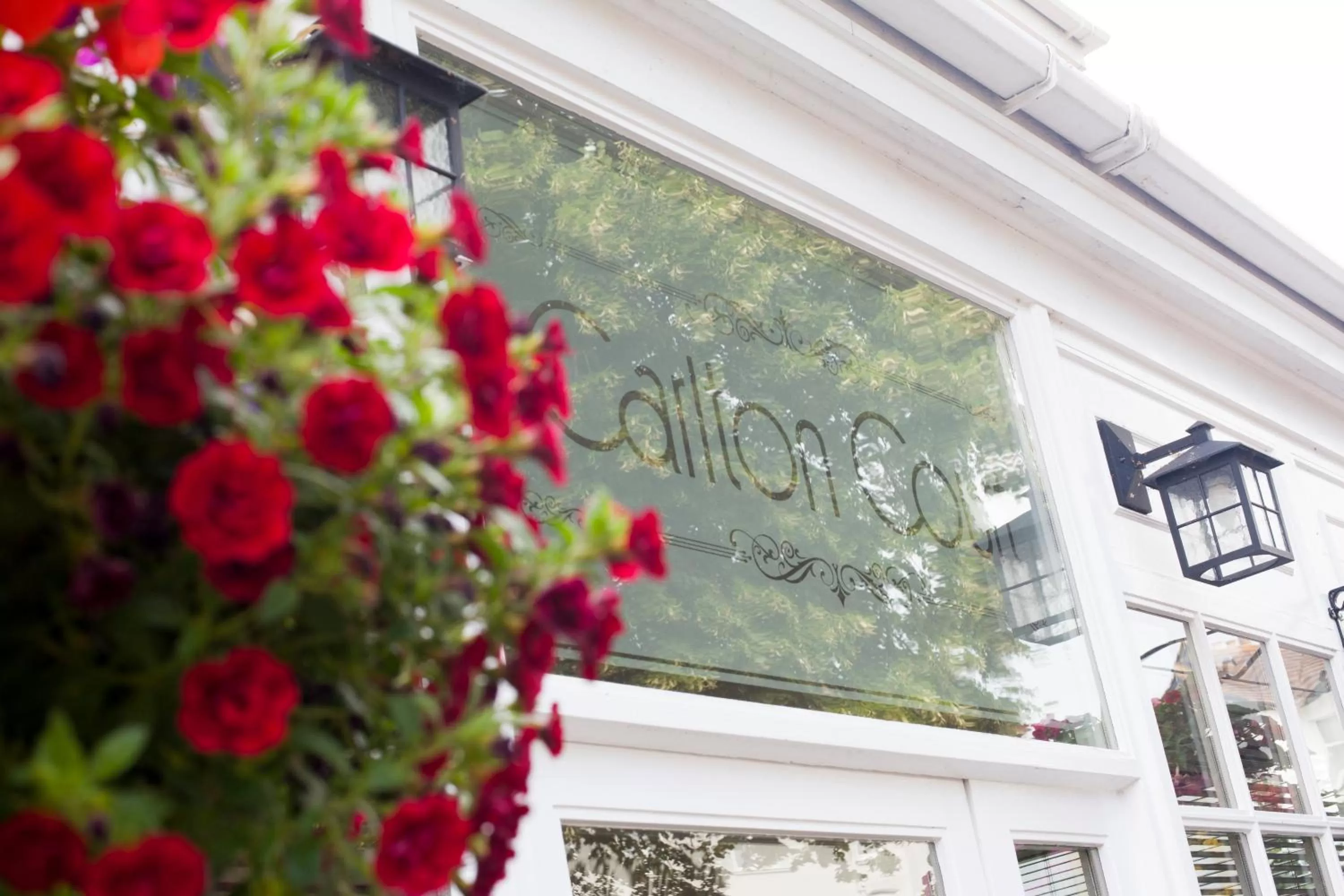 Property logo or sign in Carlton Court