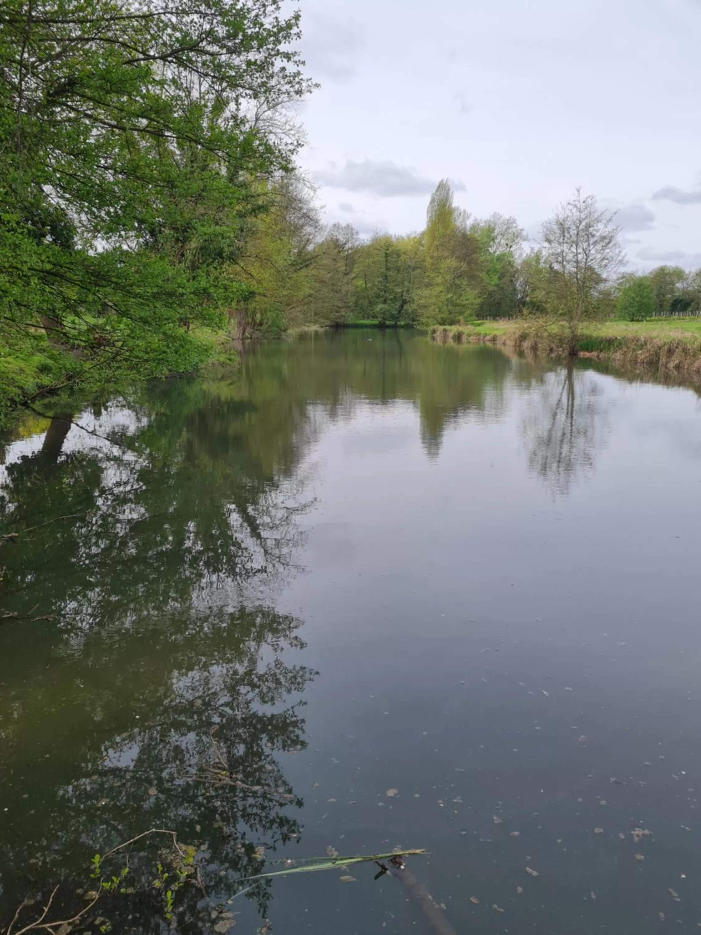 Lake View in Roulotte d'Aquitaine
