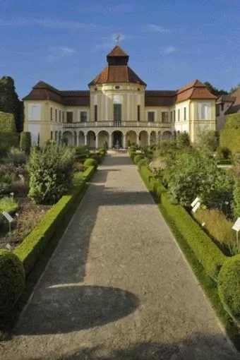 Area and facilities in Ara Classic