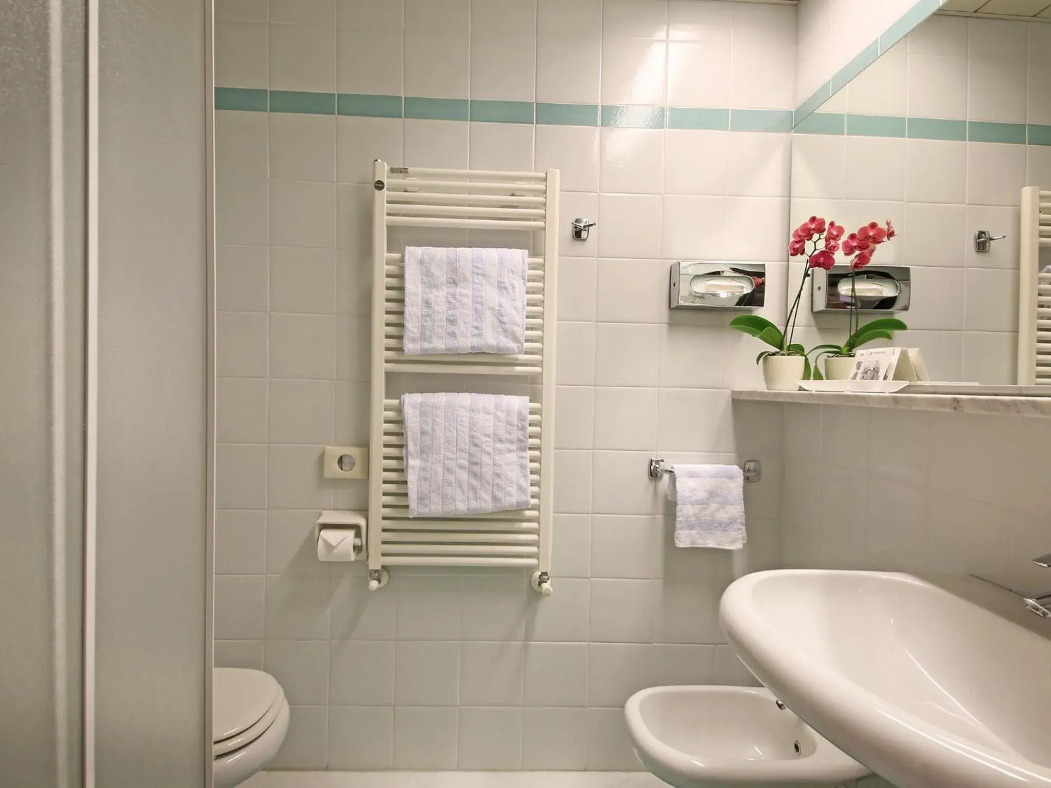 Toilet, Bathroom in Hotel Nettuno