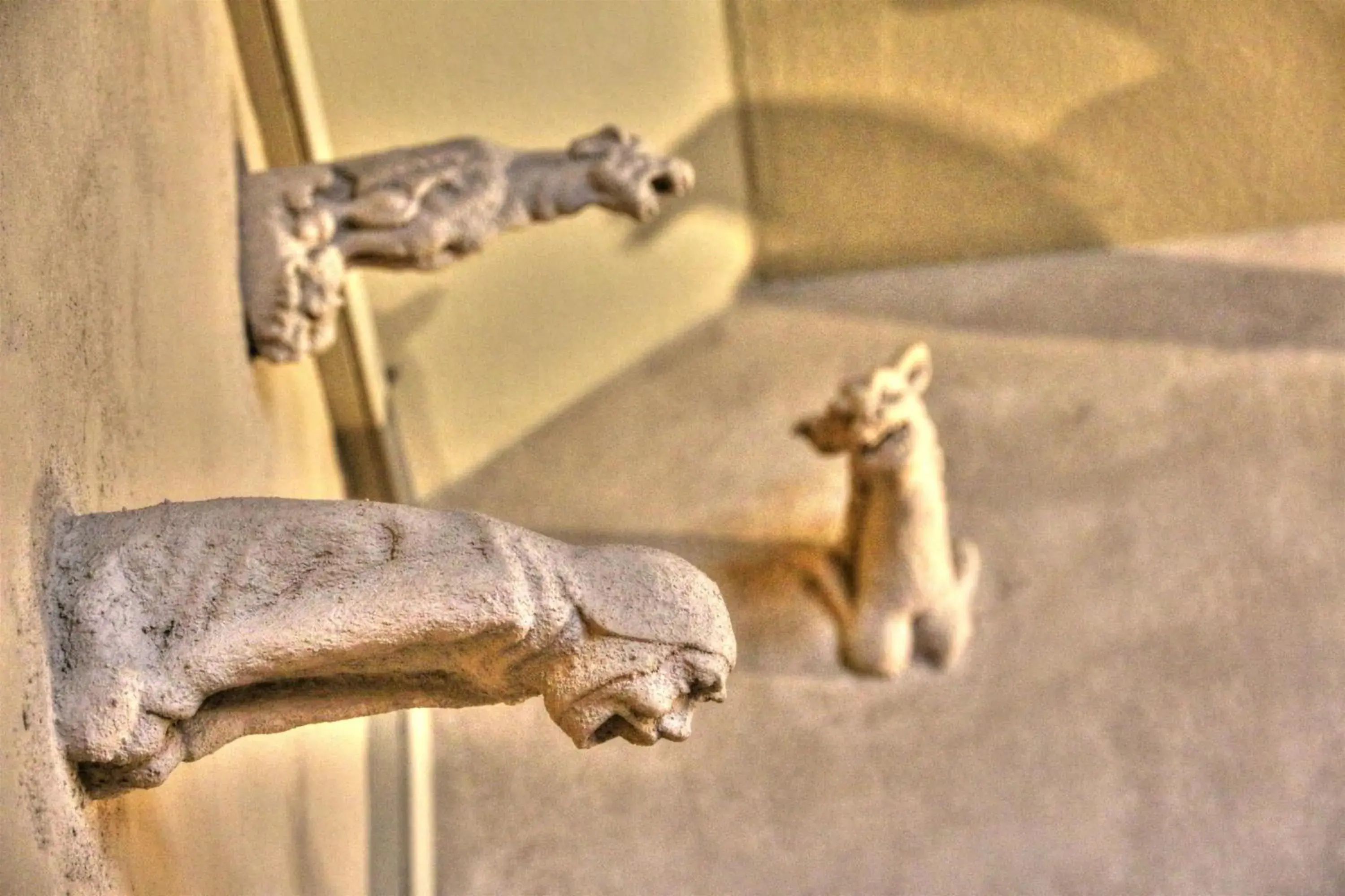 Decorative detail, Pets in Hotel Cathédrale