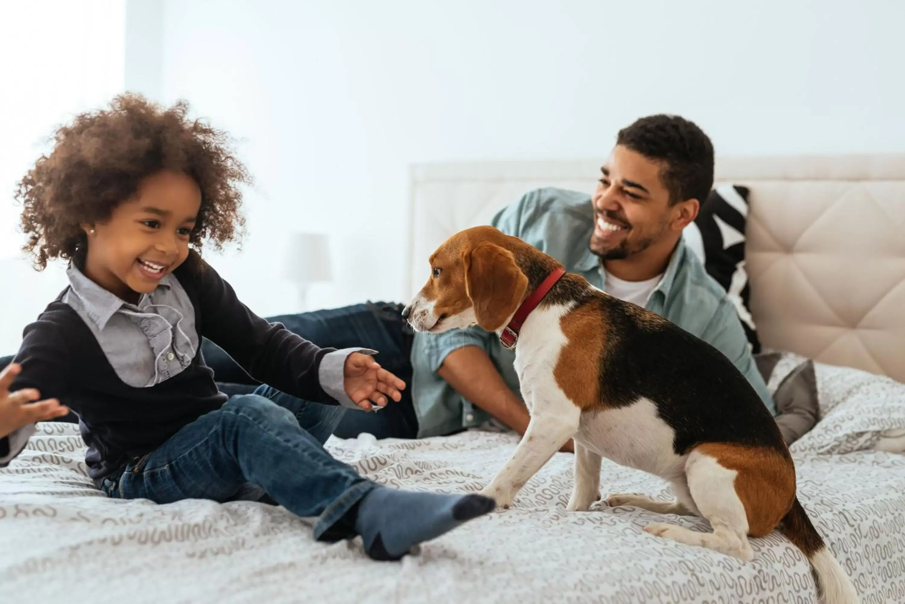 Pets, Family in Citadines Castellane Marseille