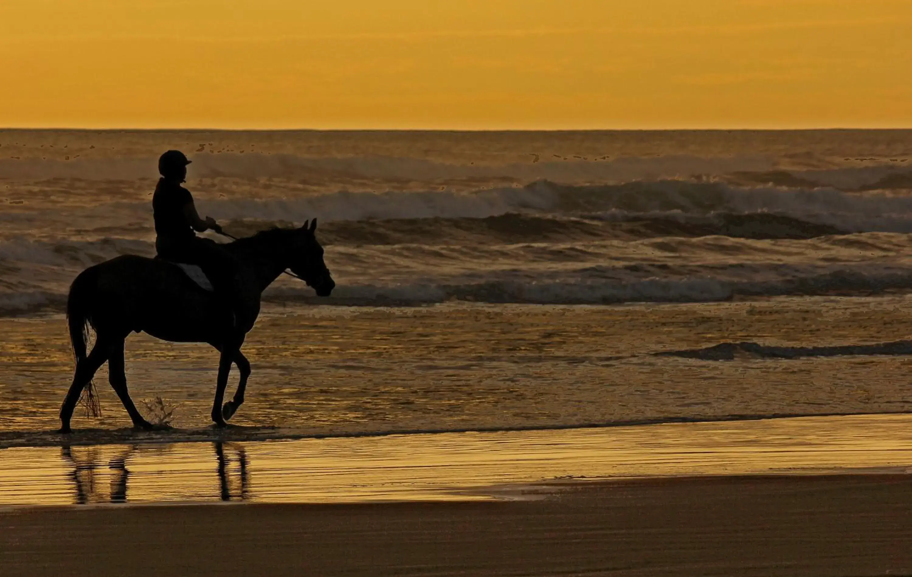 Beach, Horseback Riding in Maison de Rose