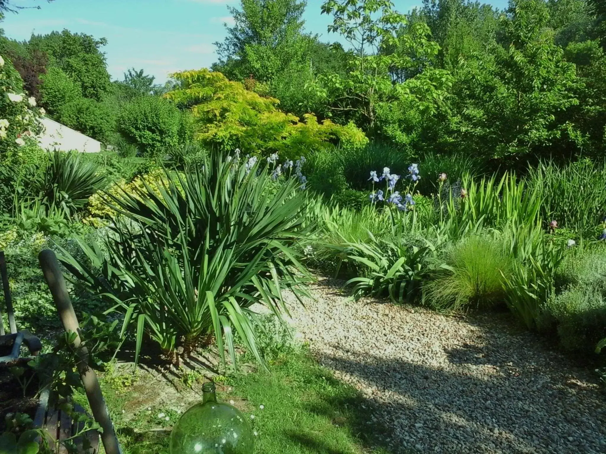 Garden in Troglodelice