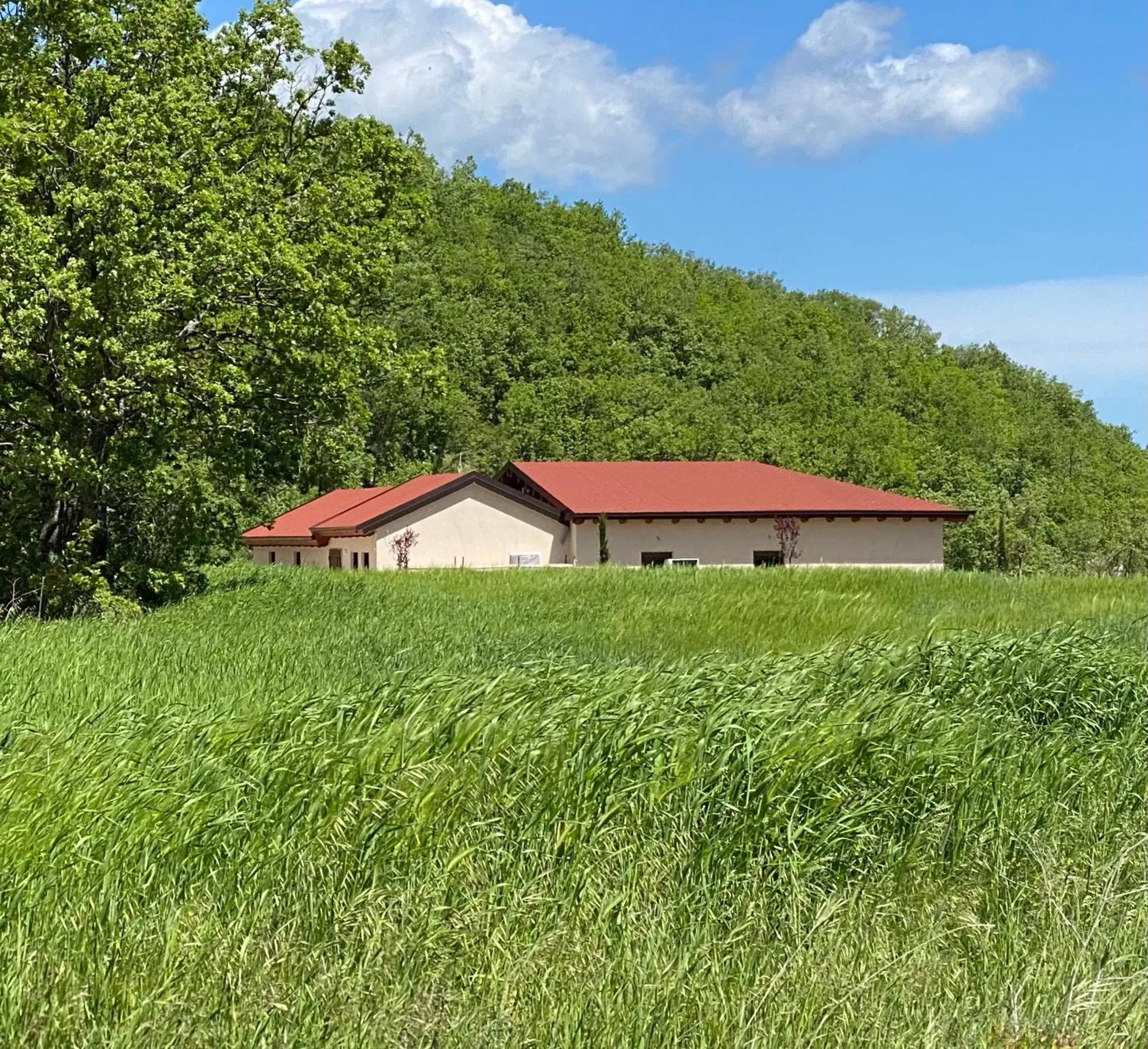 Property Building in Baita Pavò