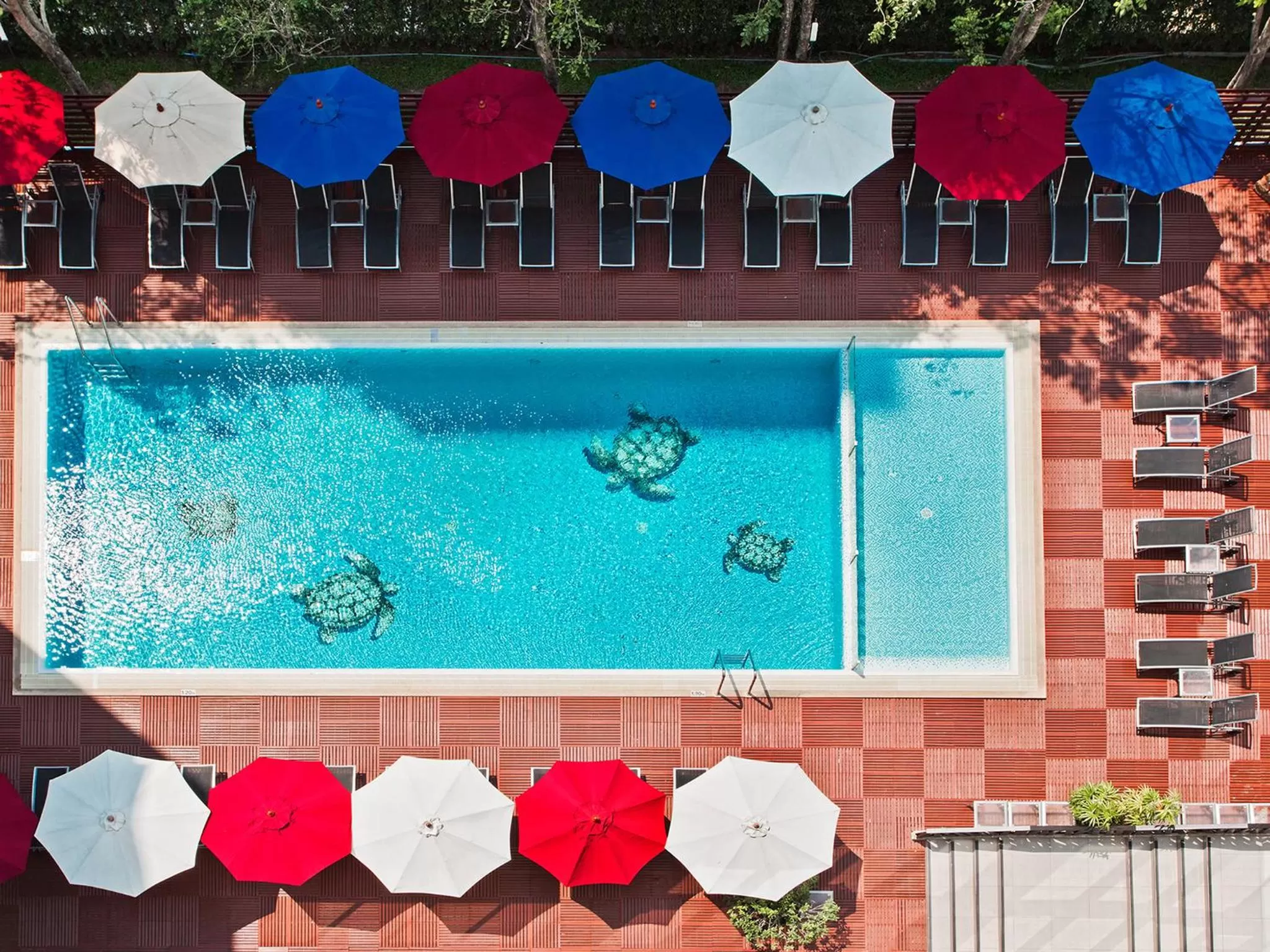 Swimming pool in Ibis Pattaya