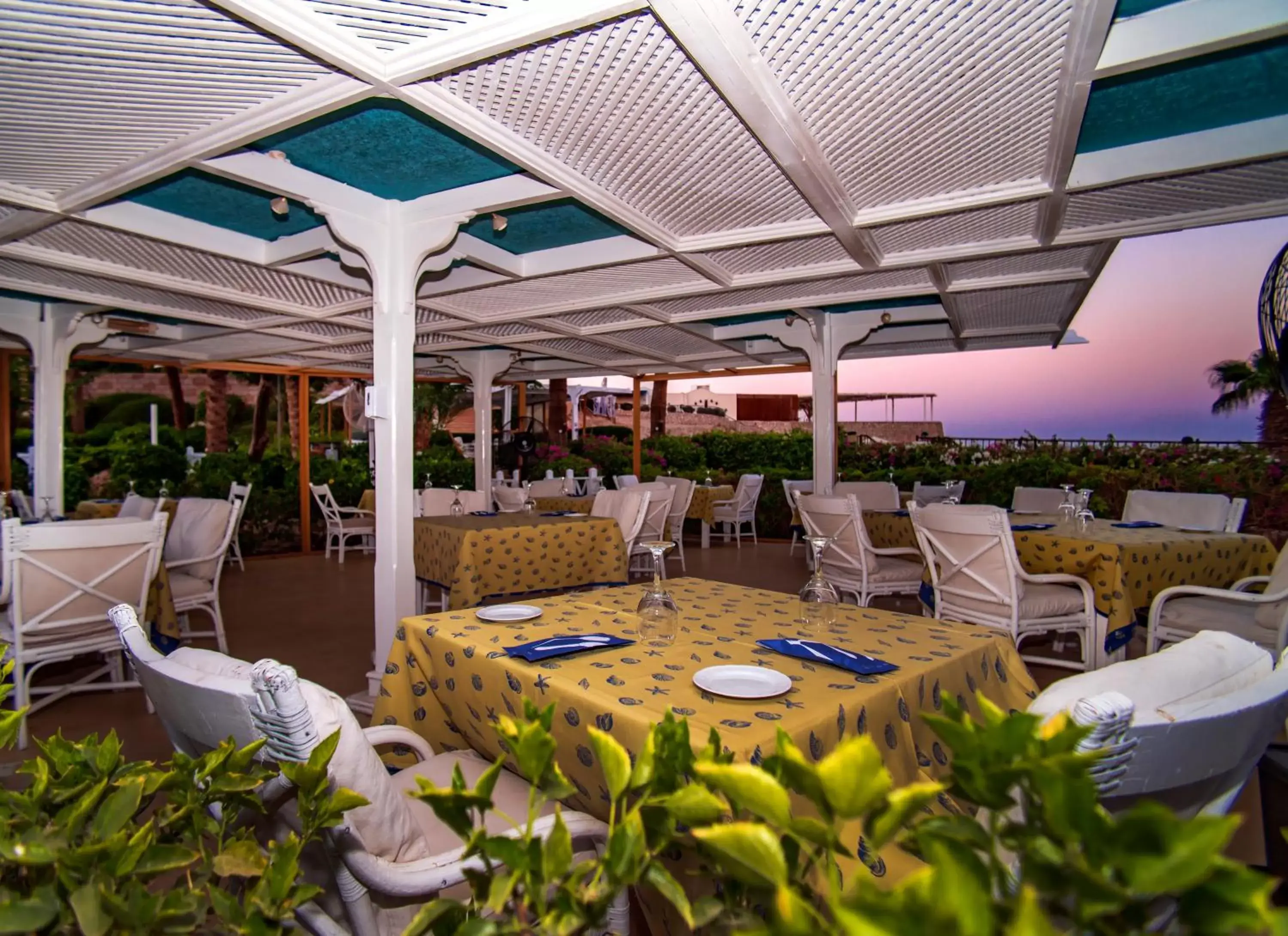 Restaurant/Places to Eat in Savoy Sharm El Sheikh