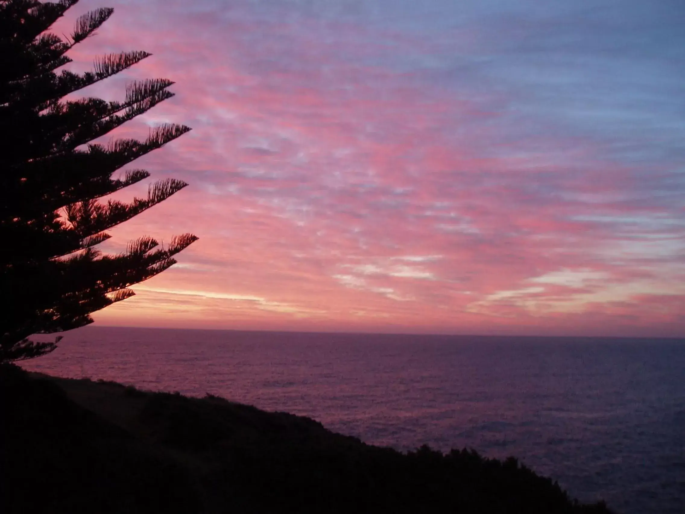 Natural landscape in Sea Whispers