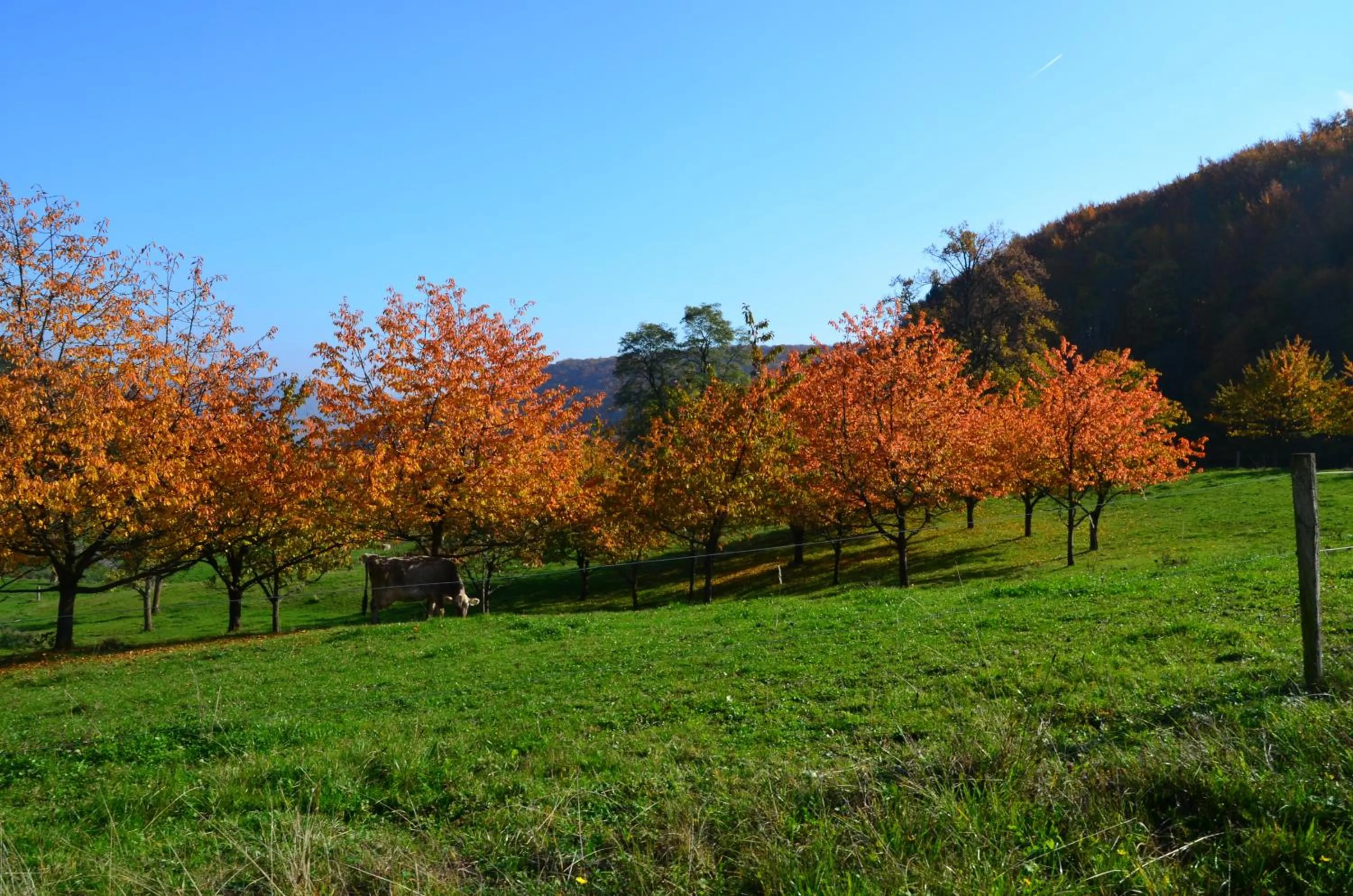 Natural landscape in Bad Schauenburg