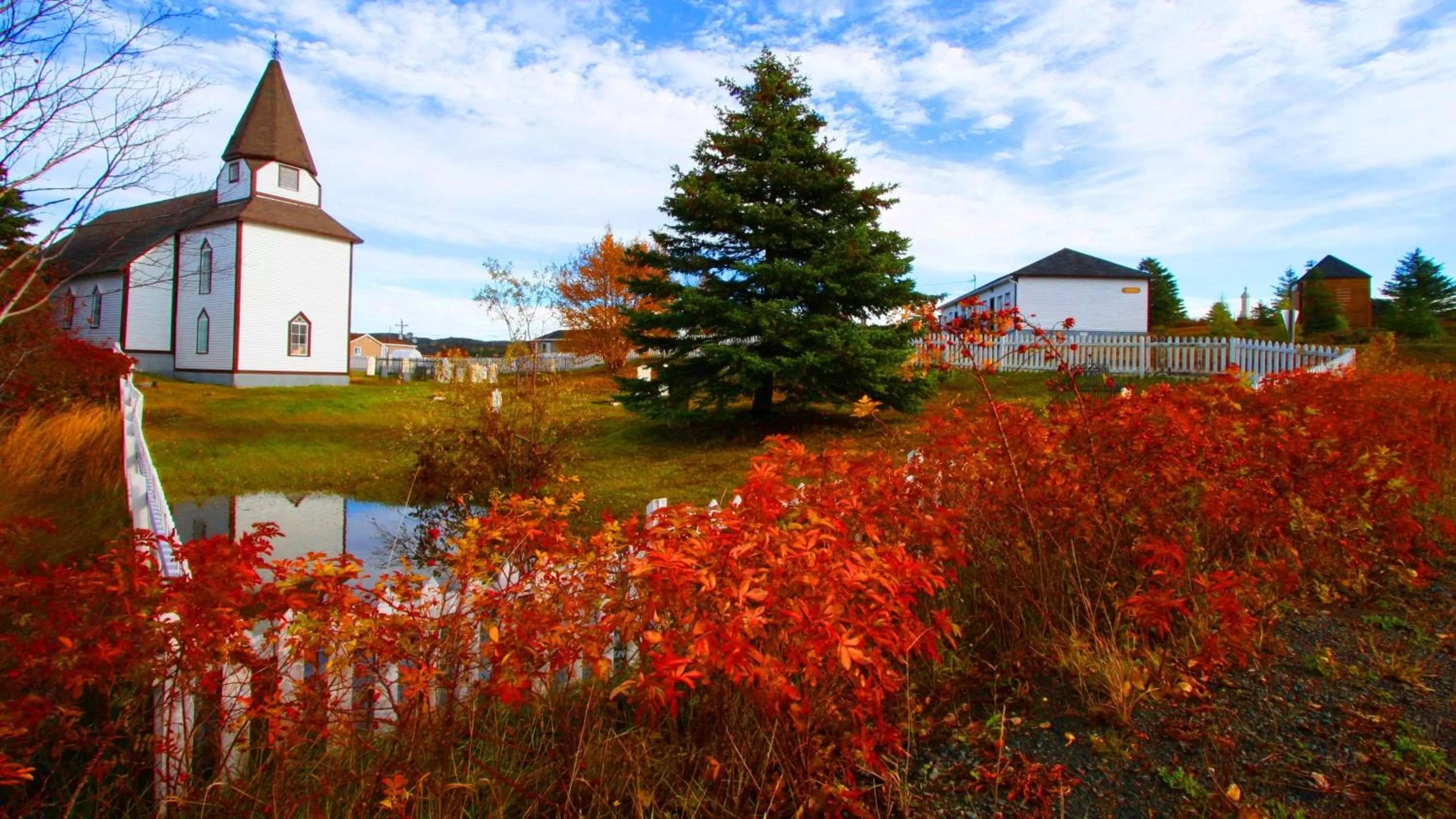 Property Building in Bumblebee Bight Inn