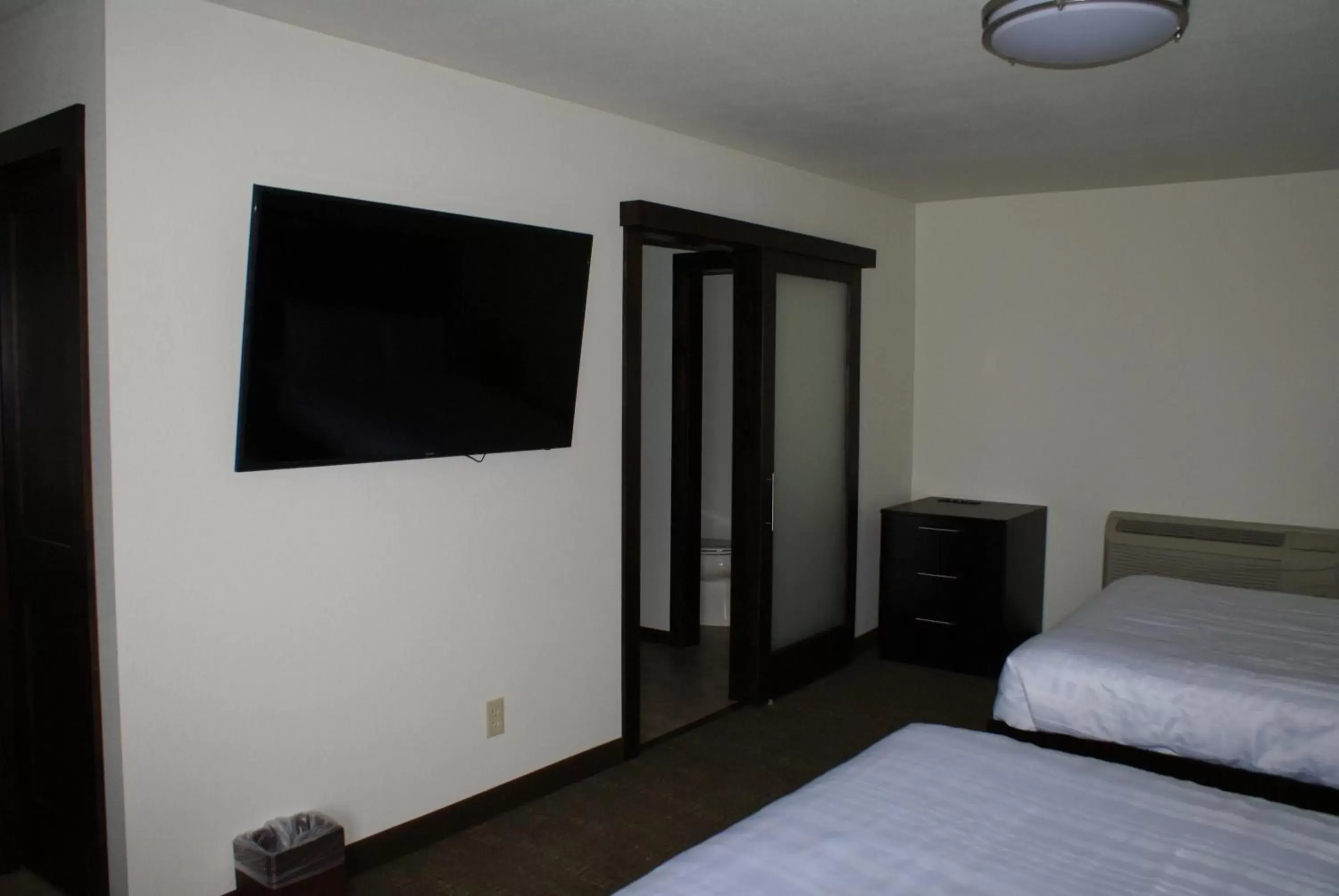 TV and multimedia, TV/Entertainment Center in Boarders Inn & Suites by Cobblestone Hotels - Syracuse