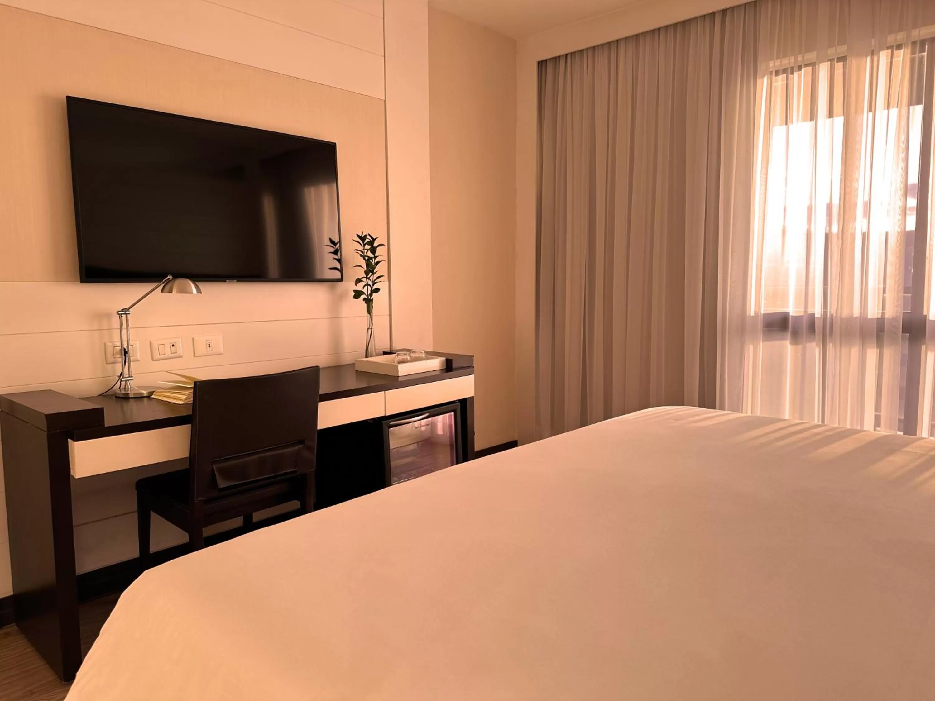 Deluxe Double Room in Kubitschek Plaza Hotel