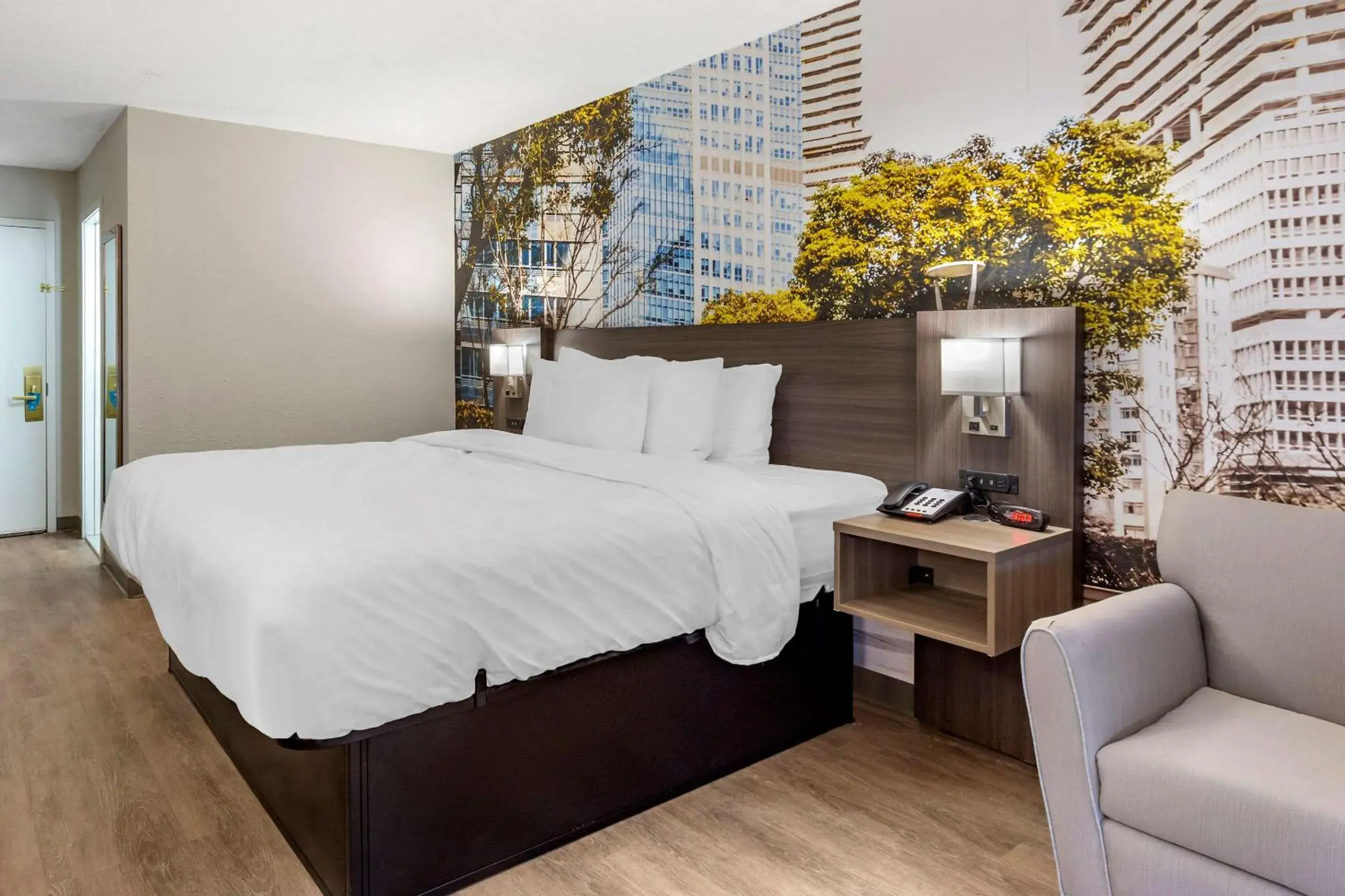 Photo of the whole room, Bed in Clarion Pointe Raleigh Midtown Photo of the whole room, Bed in Clarion Pointe Raleigh Midtown