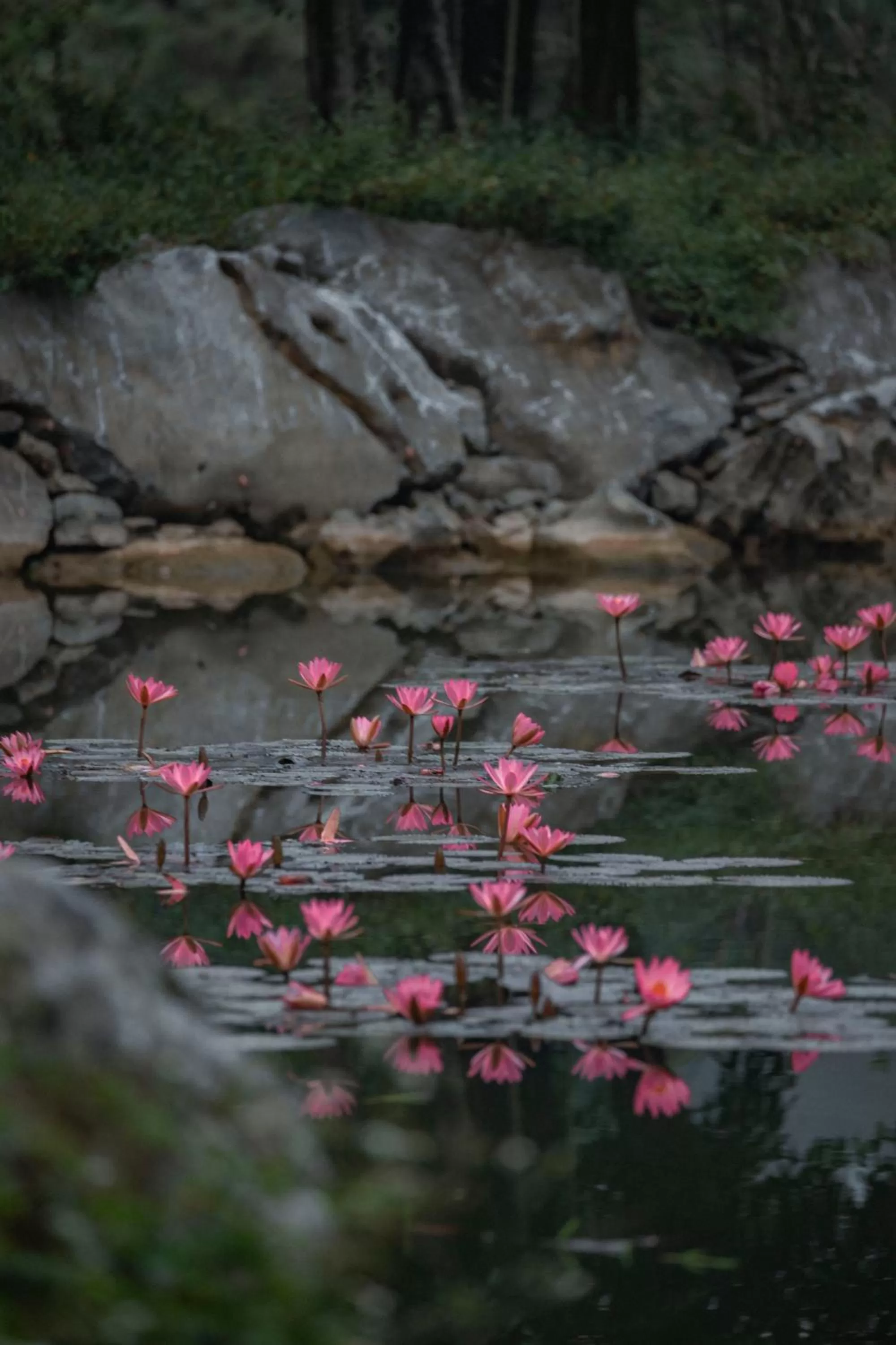 Natural landscape in Thung Nham Resort