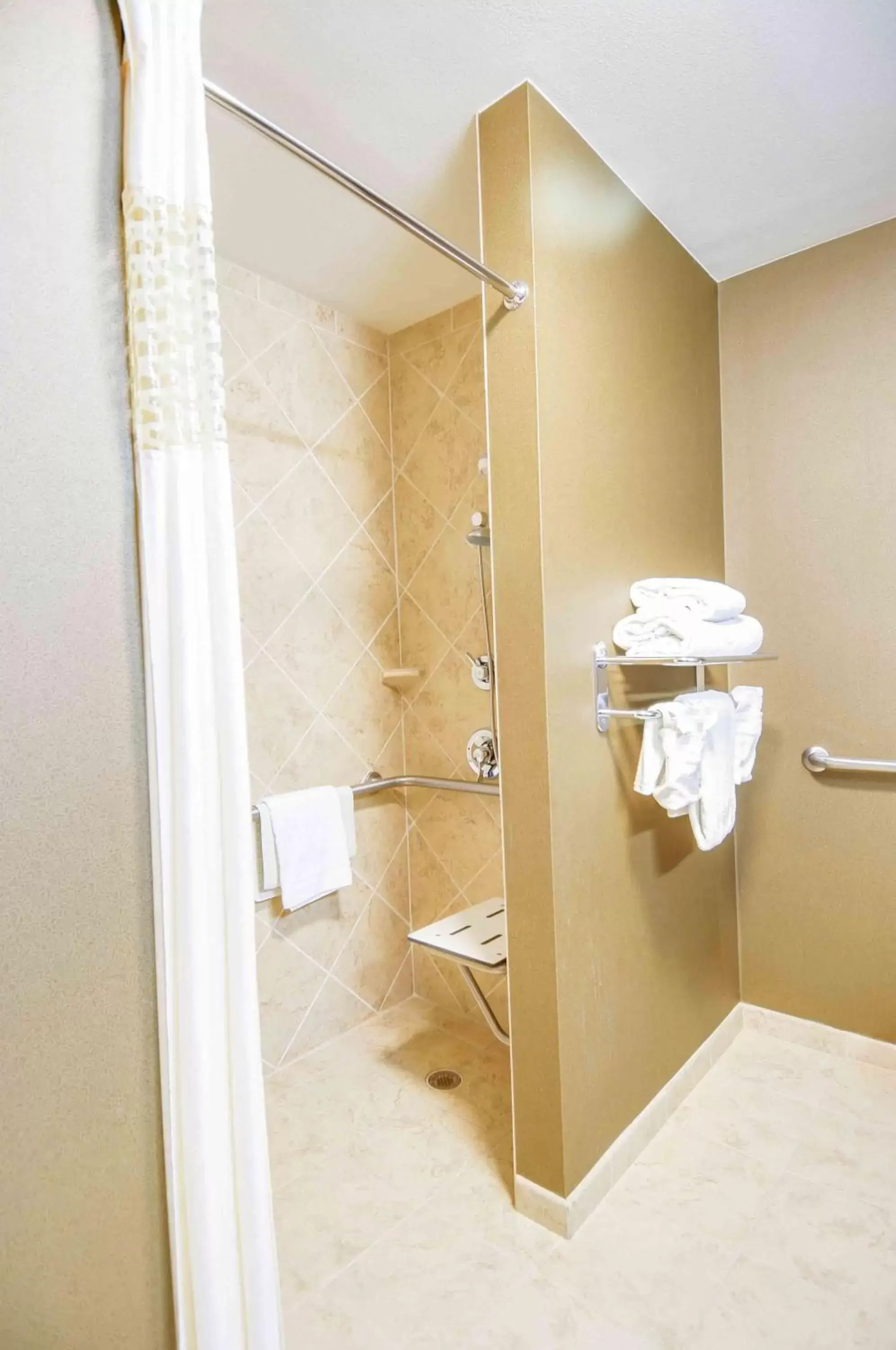 Bathroom in Hampton Inn & Suites Pinedale