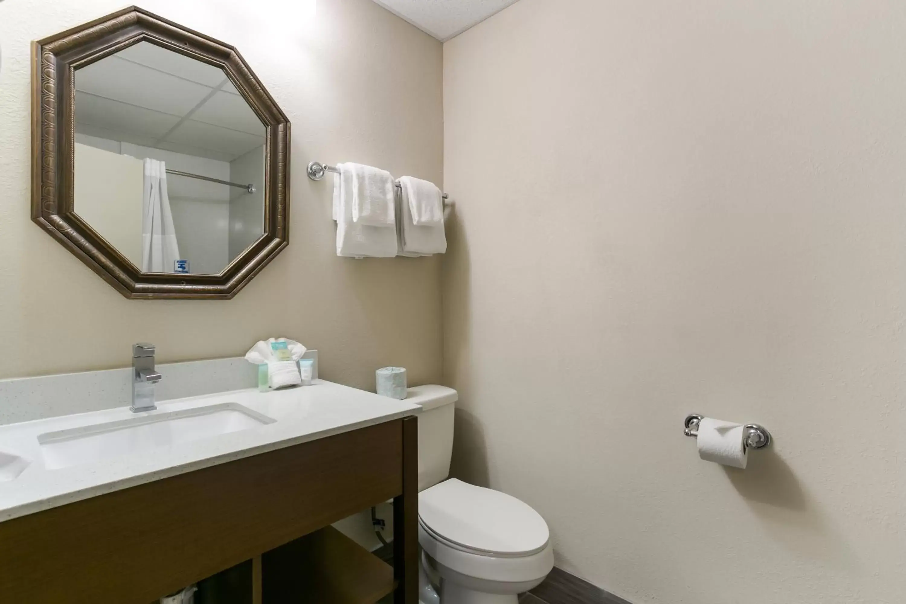 Bathroom in Eisenhower Hotel and Conference Center