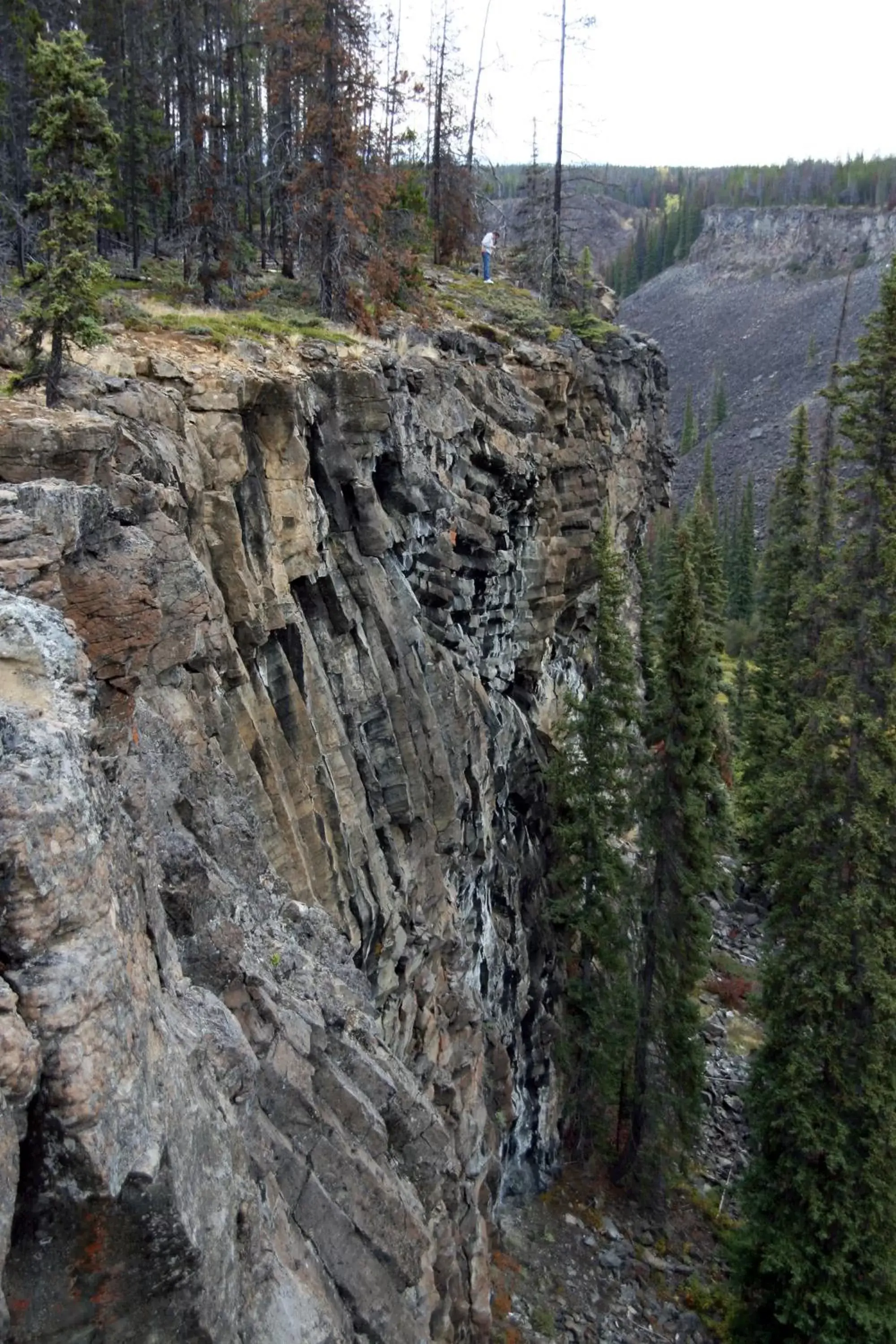 Other, Natural Landscape in Eagle's Nest Resort