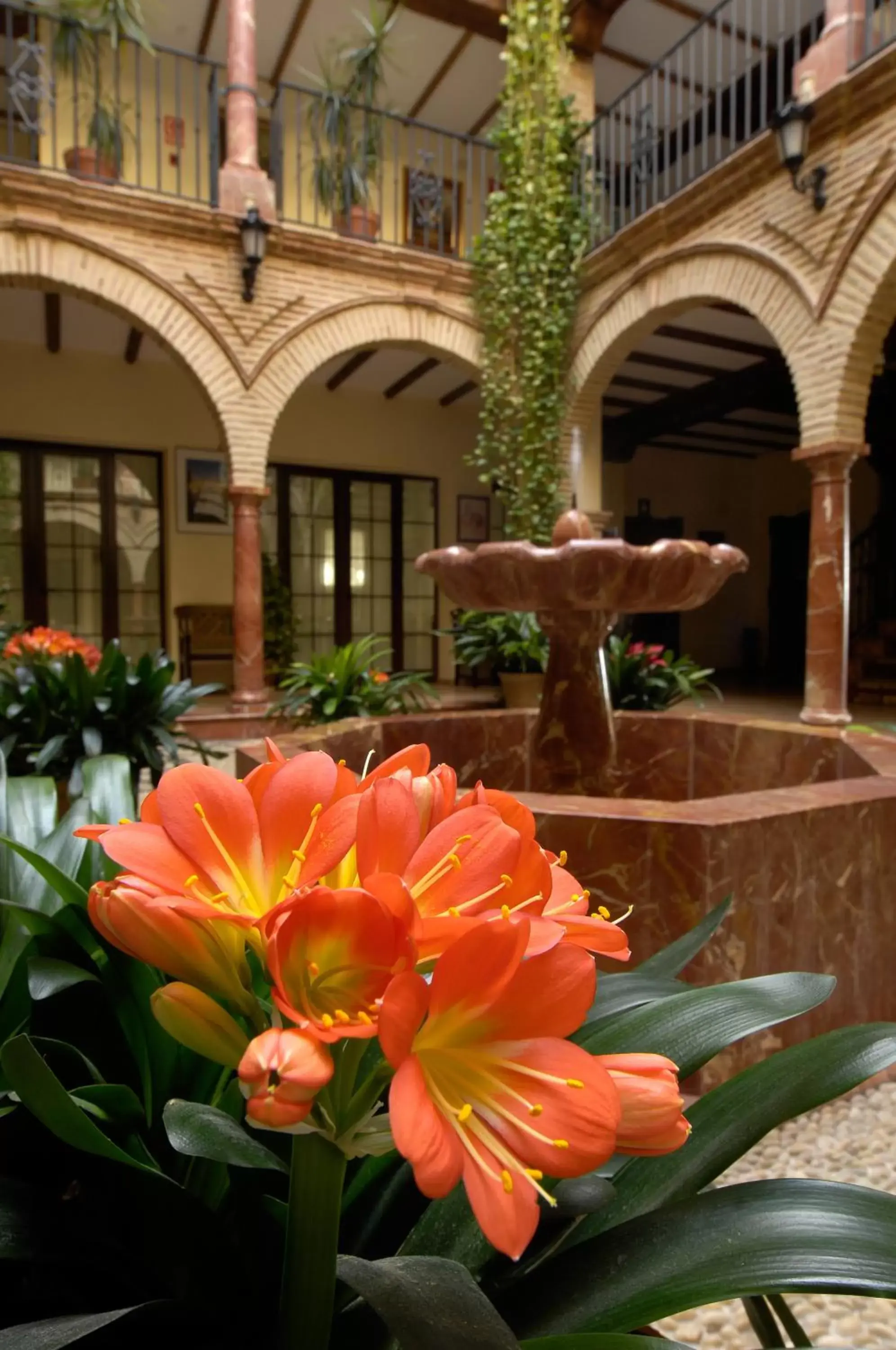 Patio in Finca Eslava