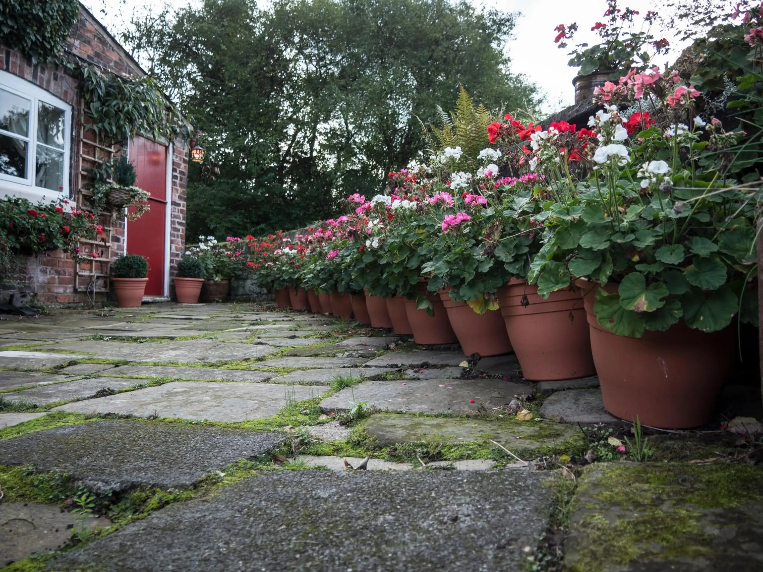 Garden in Ash Farm Country House