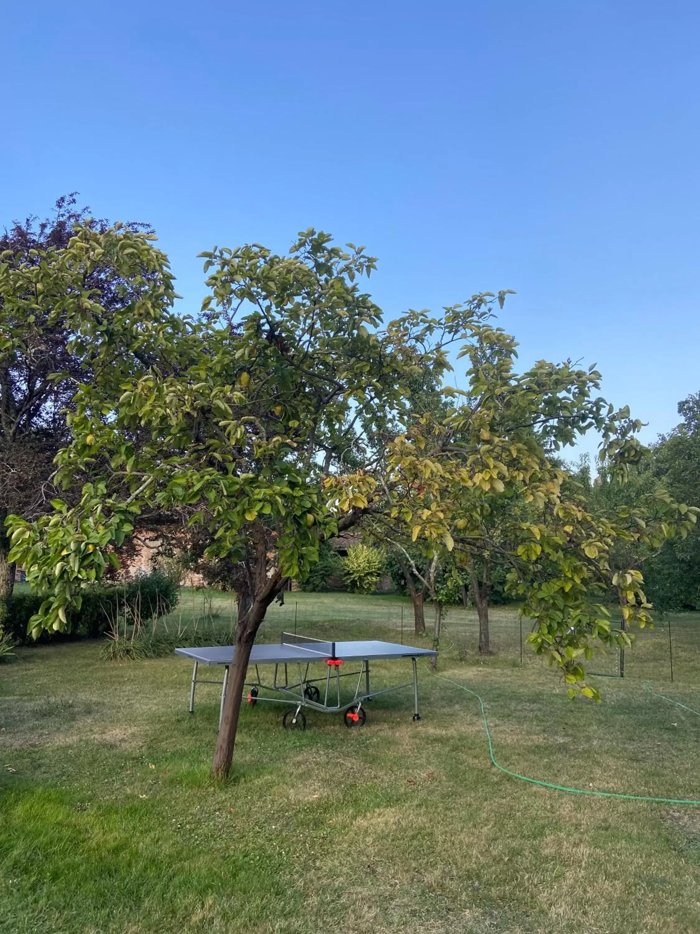 Table tennis in Manoir du Bouyssou